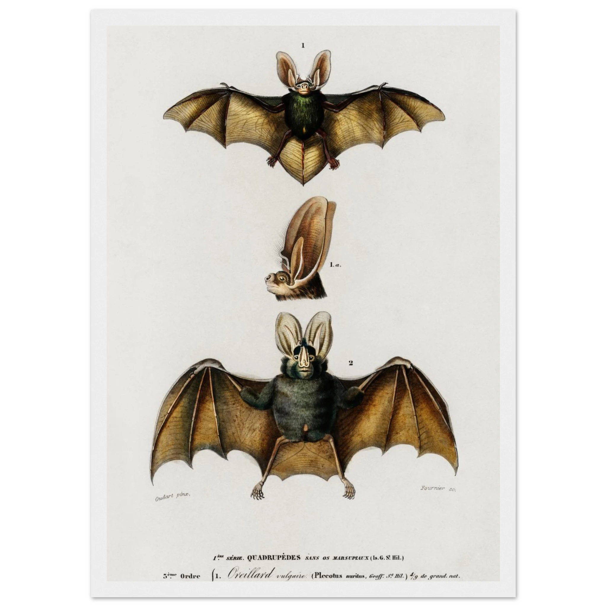 ff029bdd-39f1-4f31-940d-f8aeed8d04a4