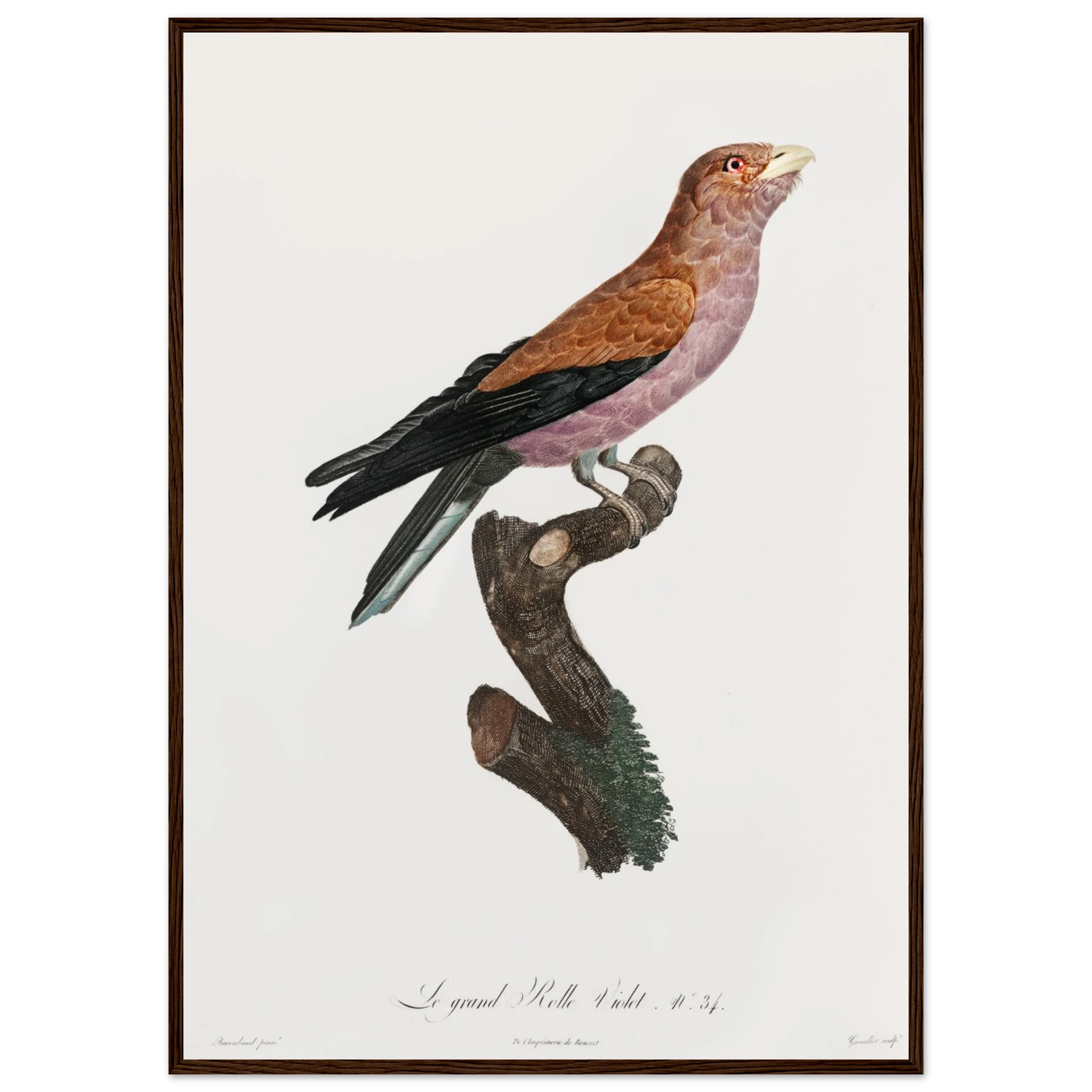 ff494b09-c5bb-4f28-9489-161c37e588cc