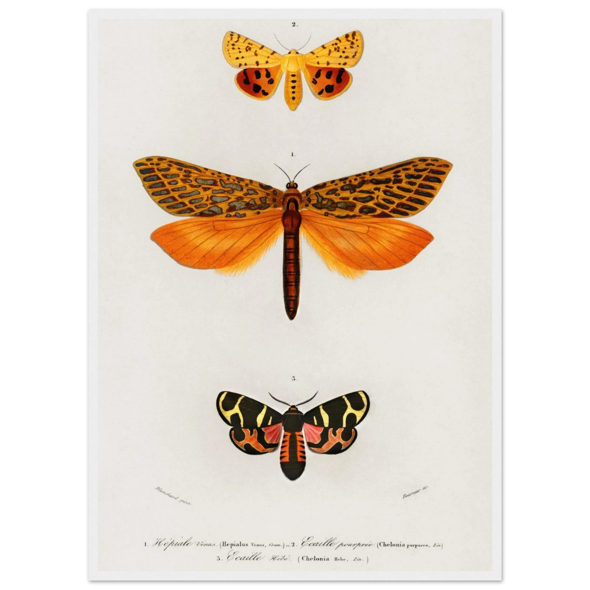 ff6b6a2d-694f-4fd6-beee-4609c84fa11f