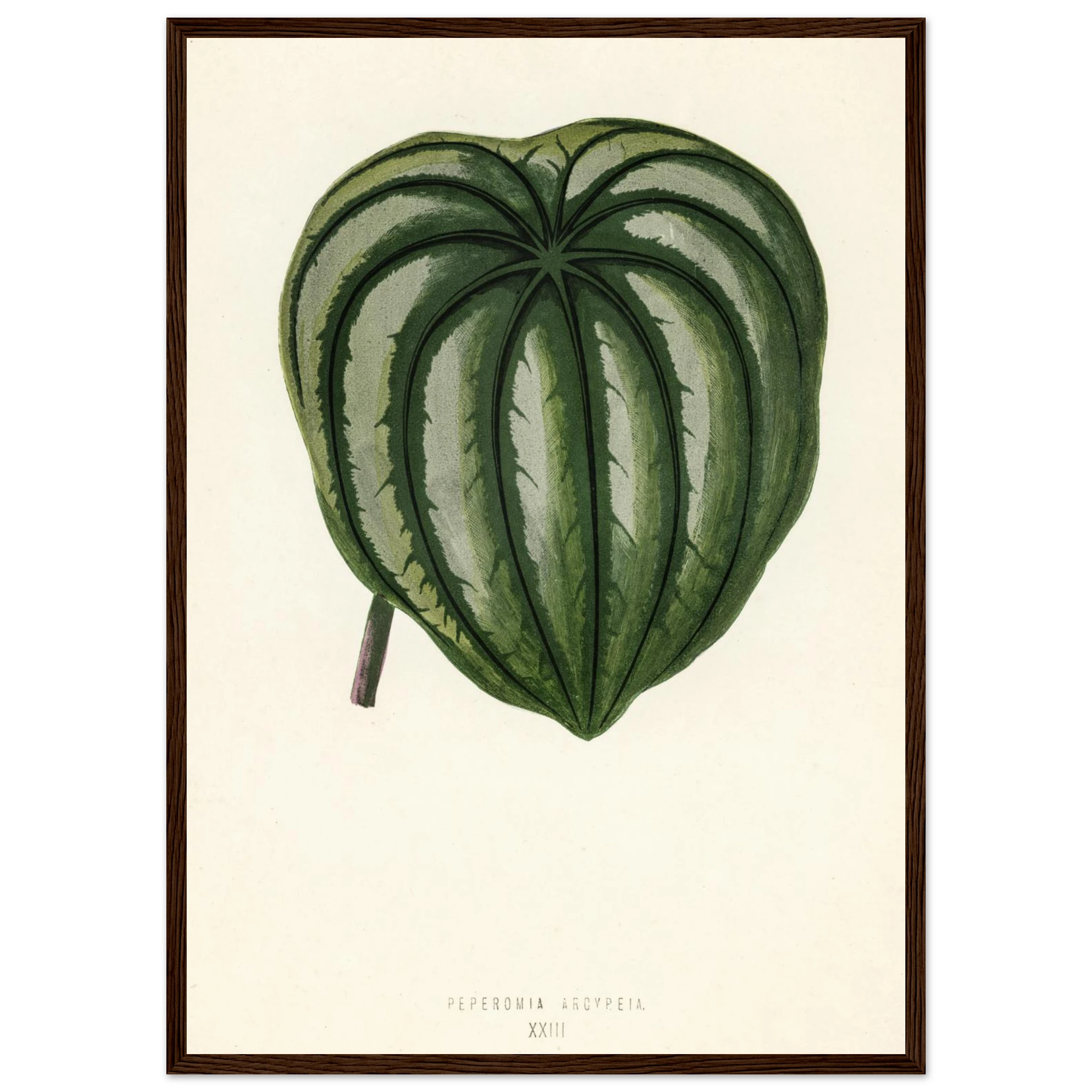 ffd788f0-3275-4003-aa31-477b5efc9f11