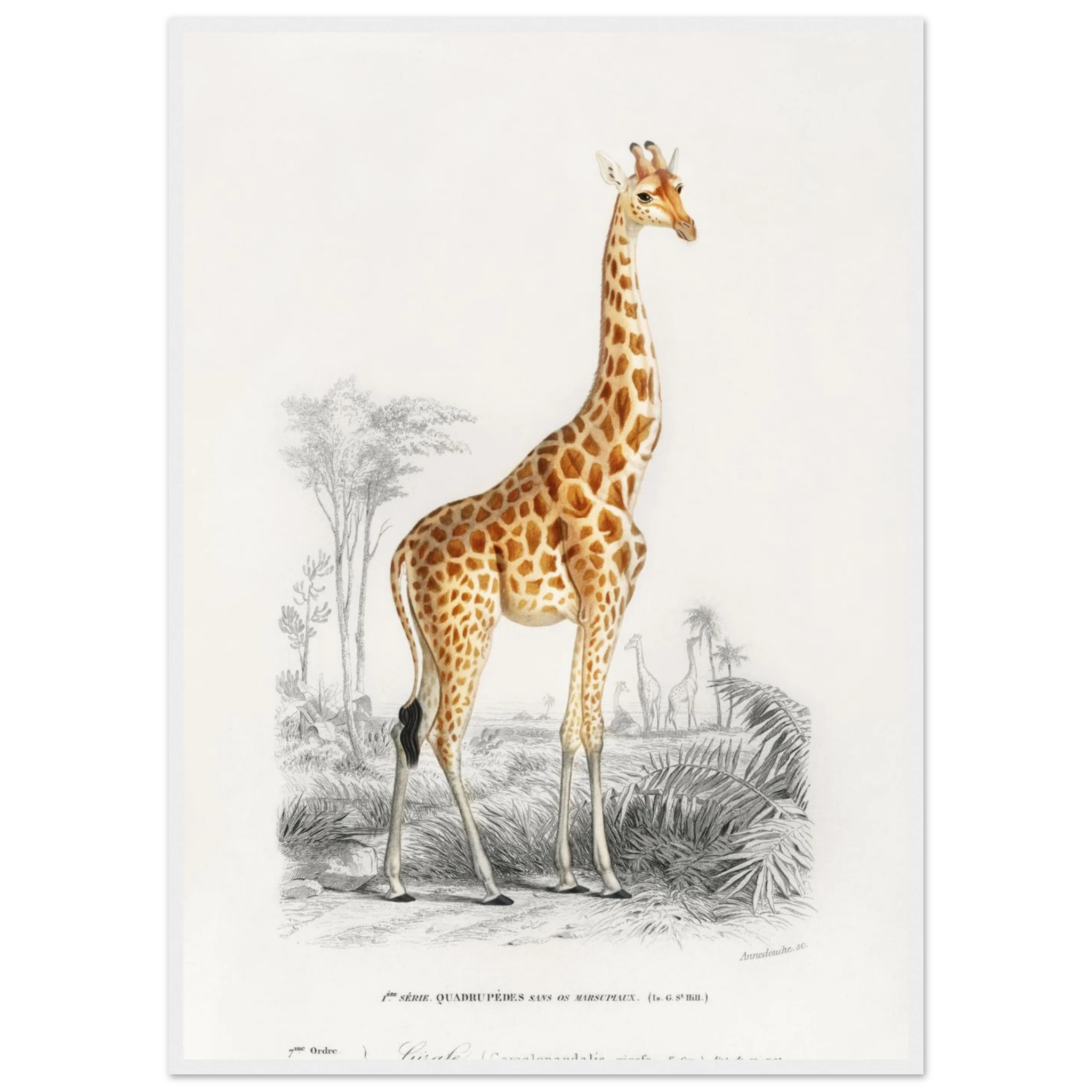 ffdfd741-7568-48aa-9412-356e5f5511f1