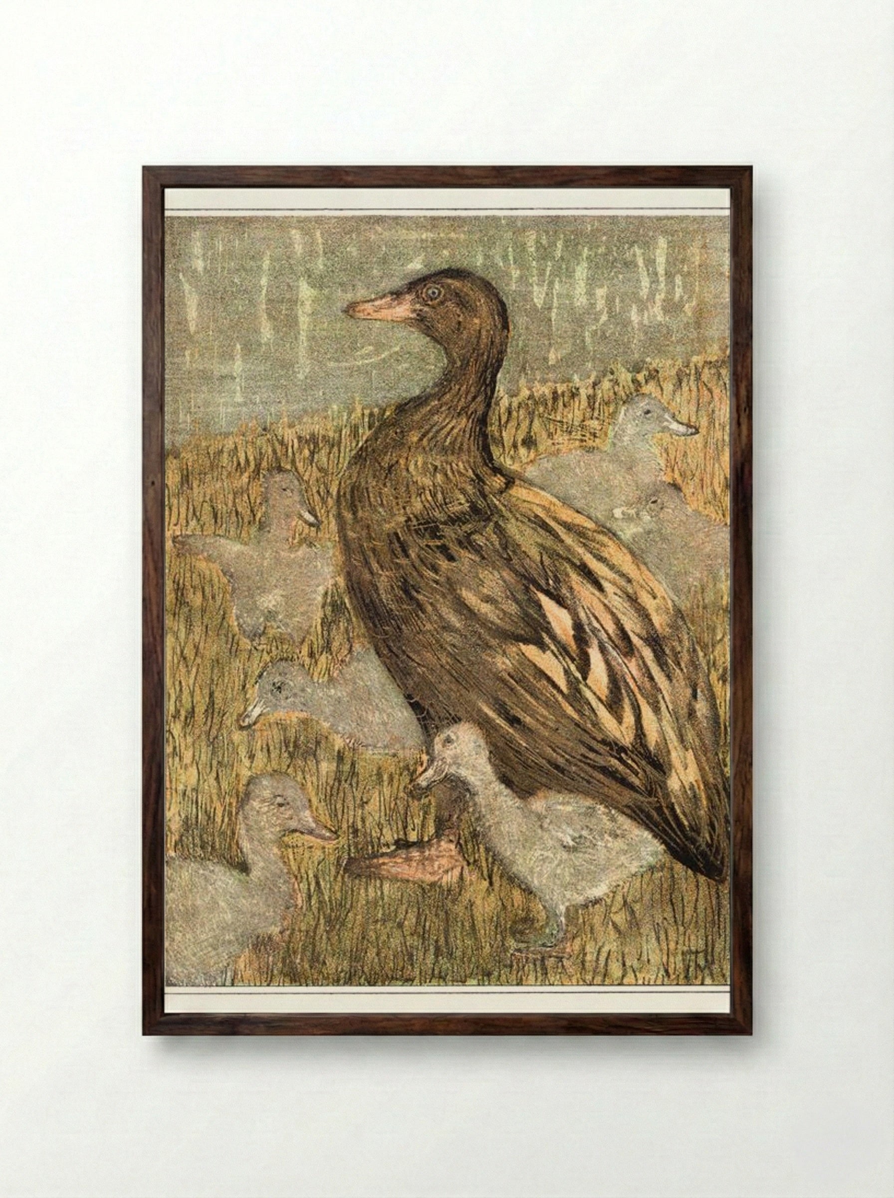 Duck with Ducklings by the Waterside - Theo van Hoytema - Framed Print Dark Wood