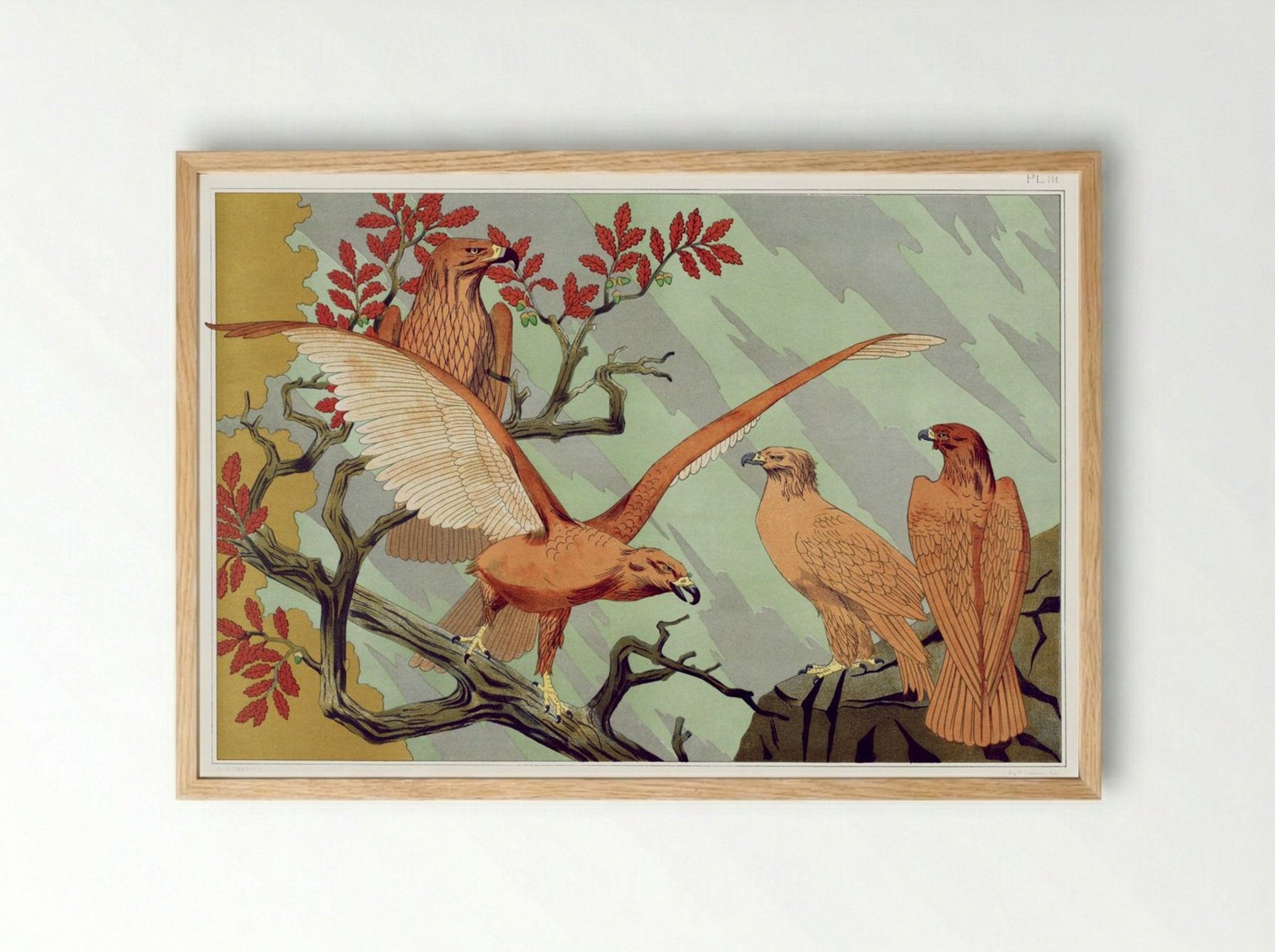 Aigles (Eagles) from L'animal dans la décoration - Maurice Pillard Verneuil - Framed Print Wood