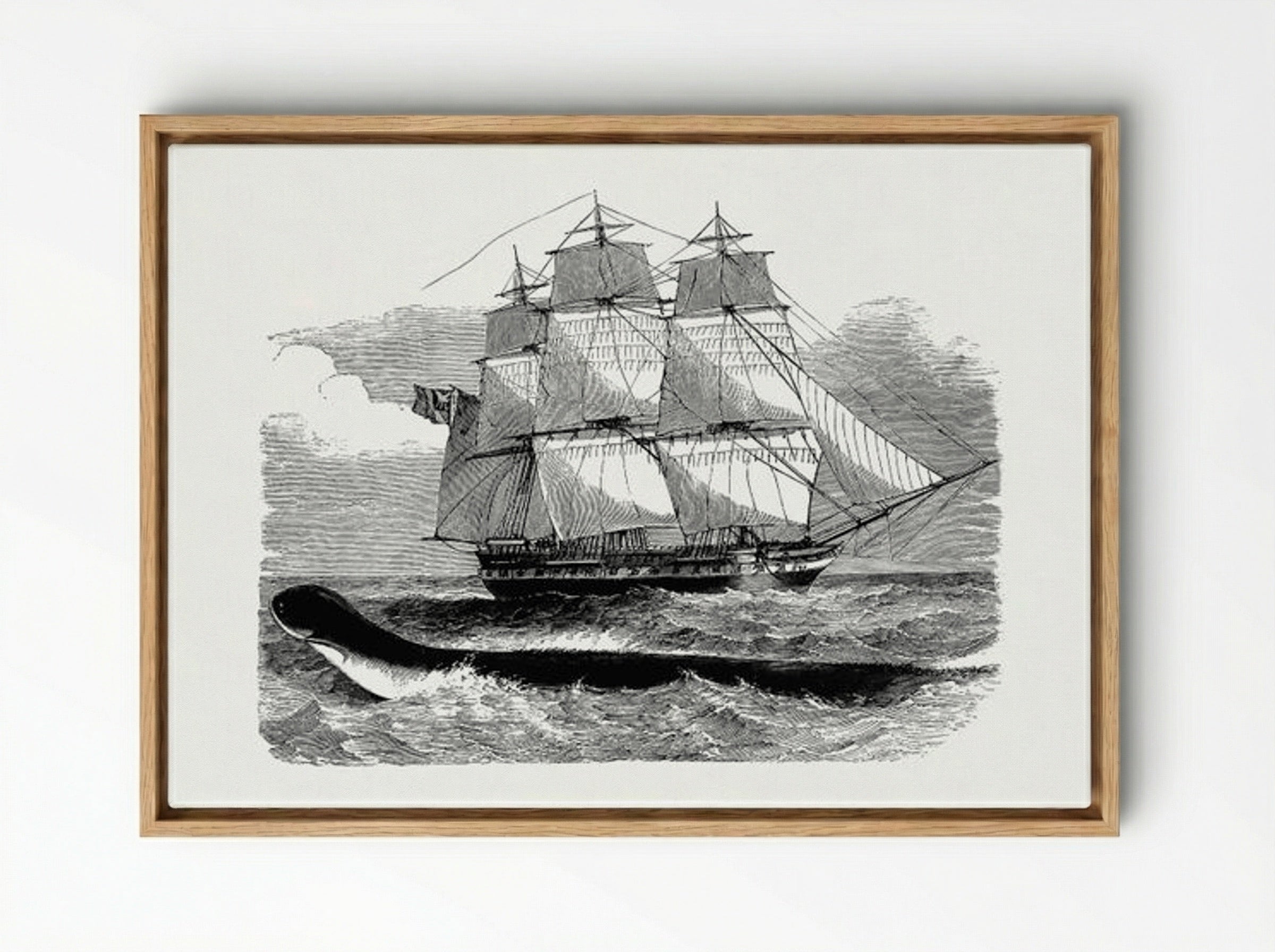 The Great Sea-Serpent, When First Seen From H.M.S. Daedalus - Fine Art Print - Framed Canvas Wood