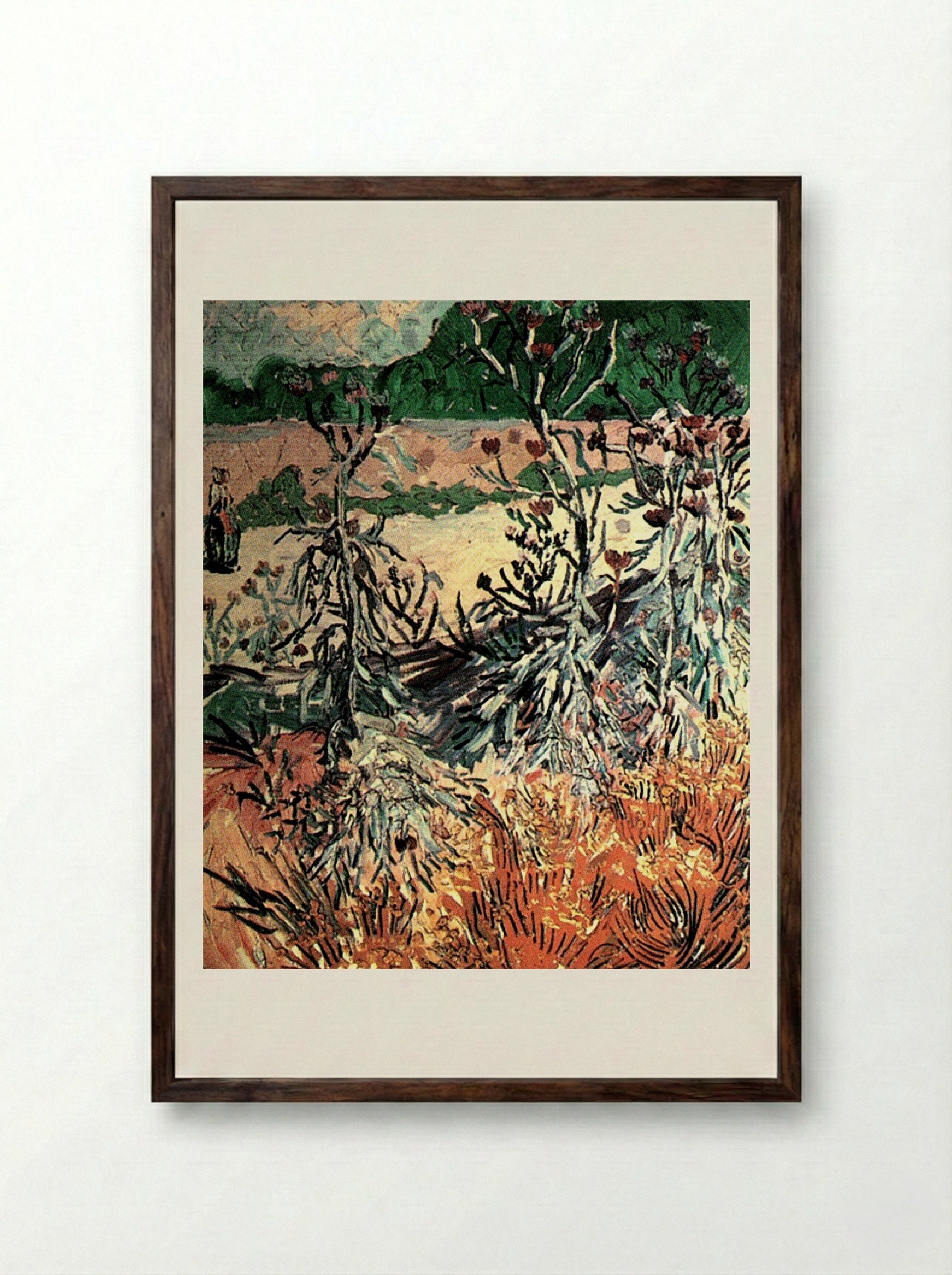 Thistles in a Field - Vincent van Gogh - Framed Print Dark Wood