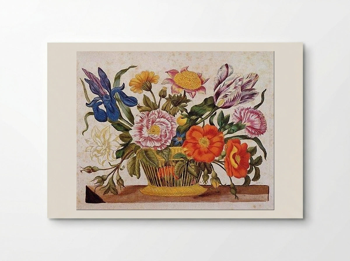 from Der Raupen wunderbare Verwandlung und sonderbare Blumennahrung, Plate CLXIX - Maria Sibylla Merian - Poster