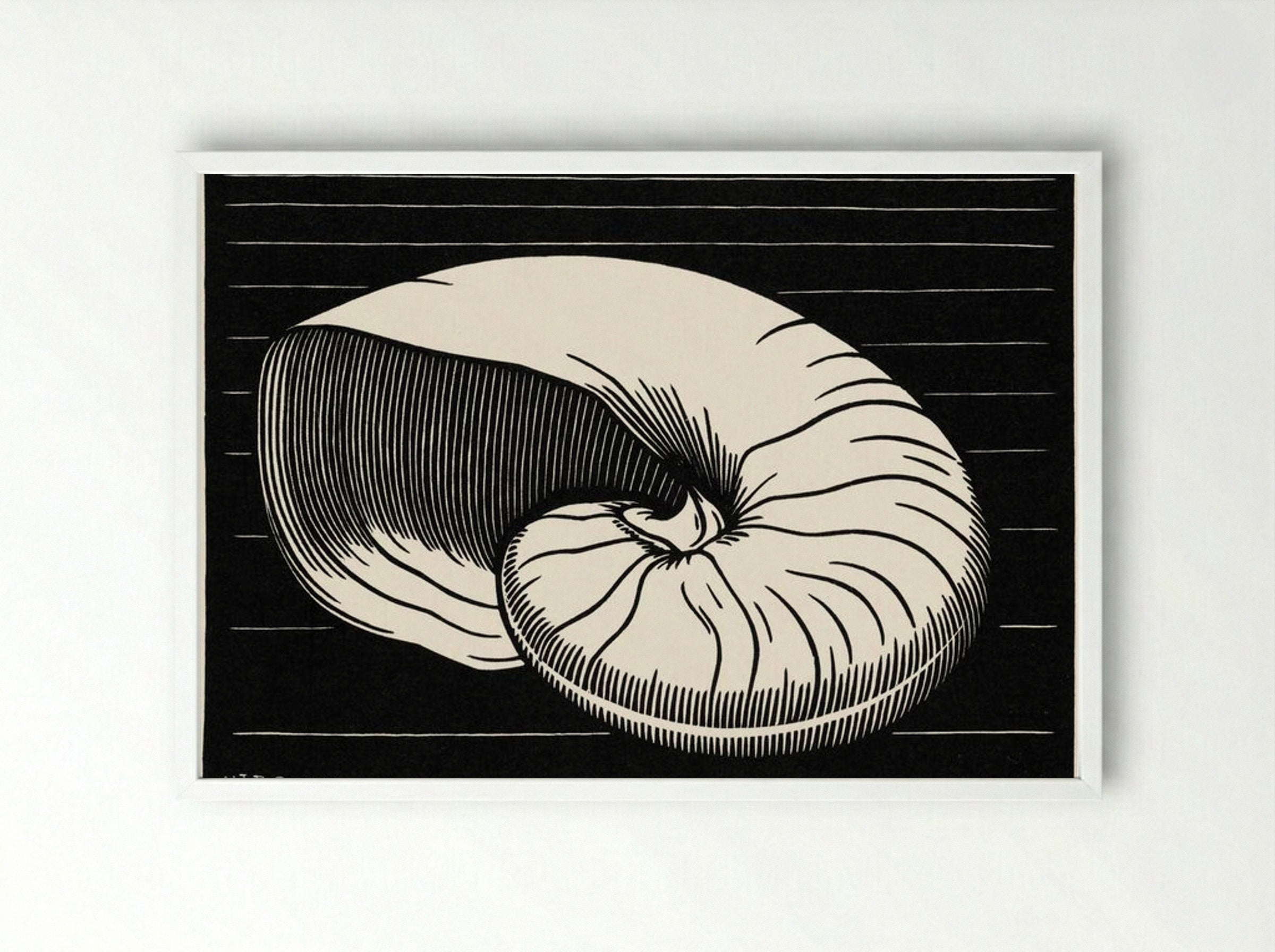 Shell - Julie de Graag - Framed Print White