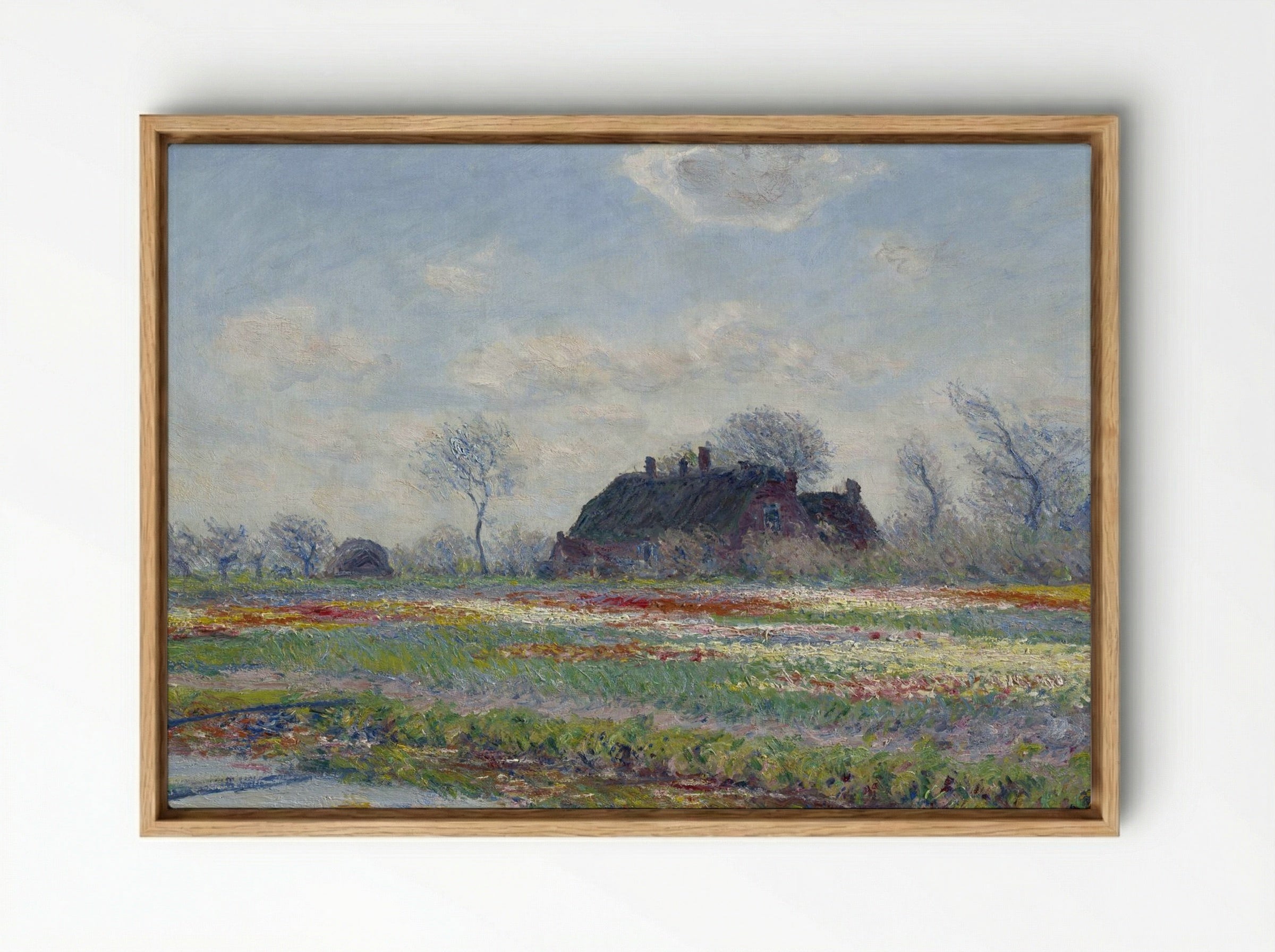 Tulip Fields at Sassenheim - Claude Monet - Framed Canvas Wood