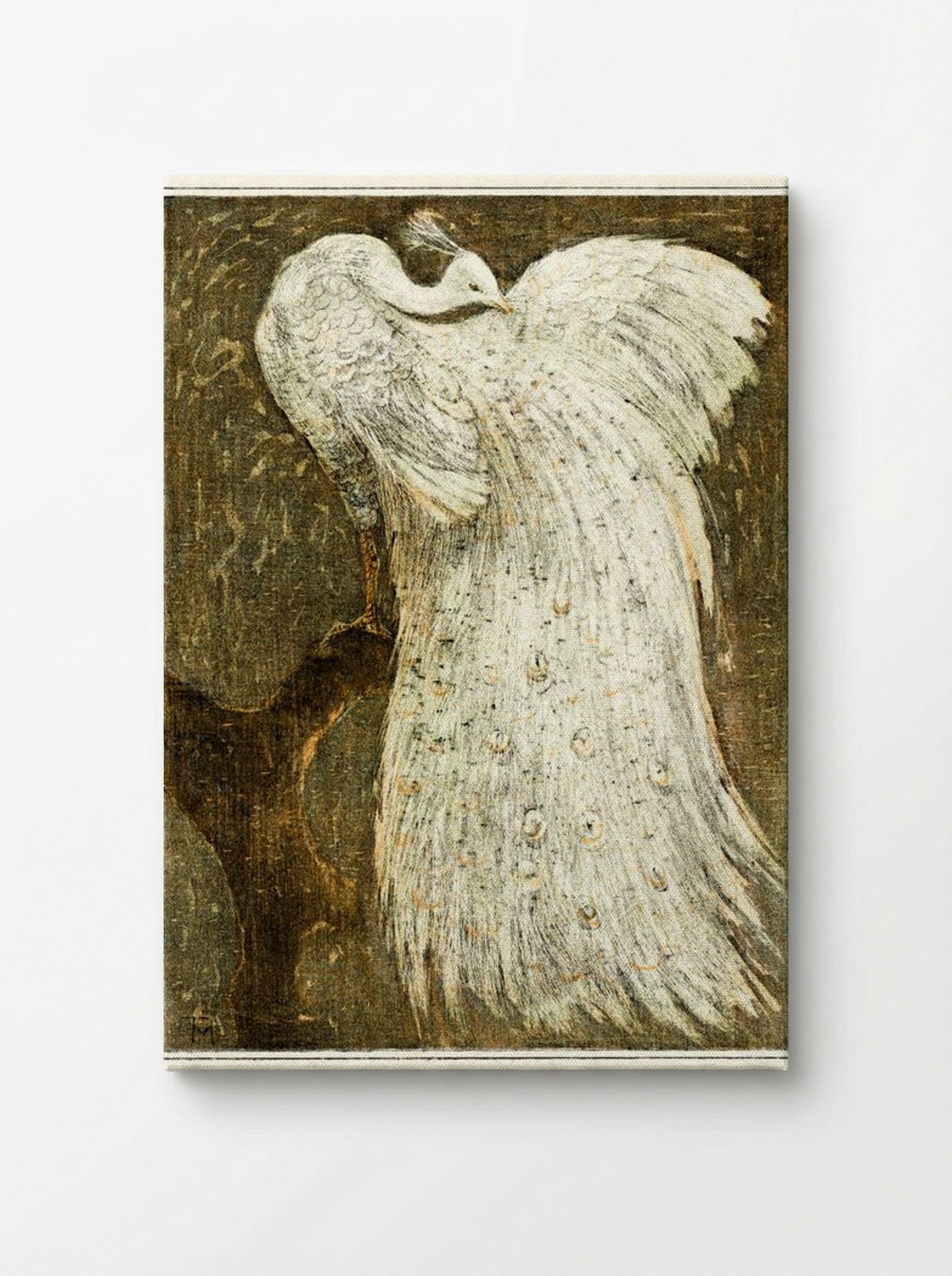 White Peacock on a Branch - Theo van Hoytema - Canvas