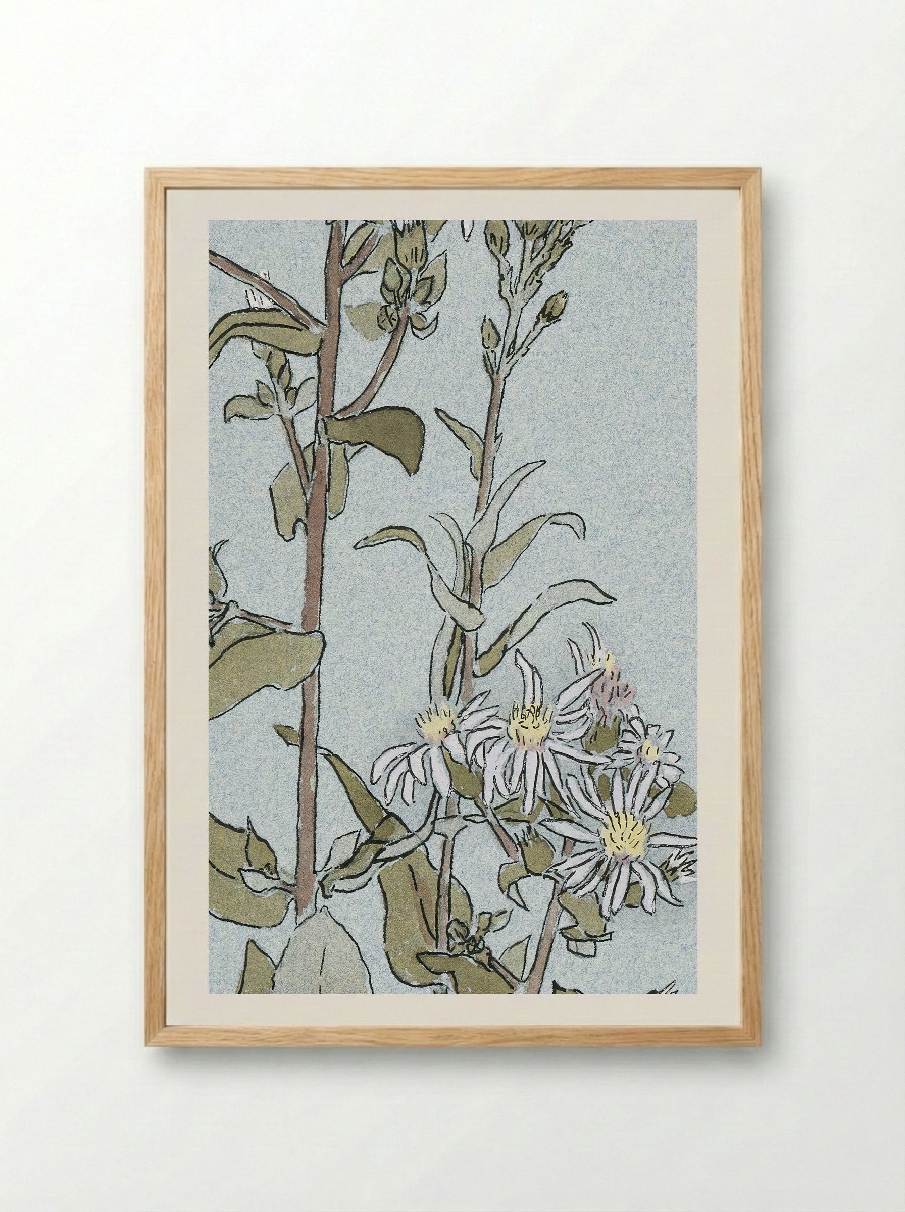Aster (1915) - Hannah Borger Overbeck - Framed Print Wood