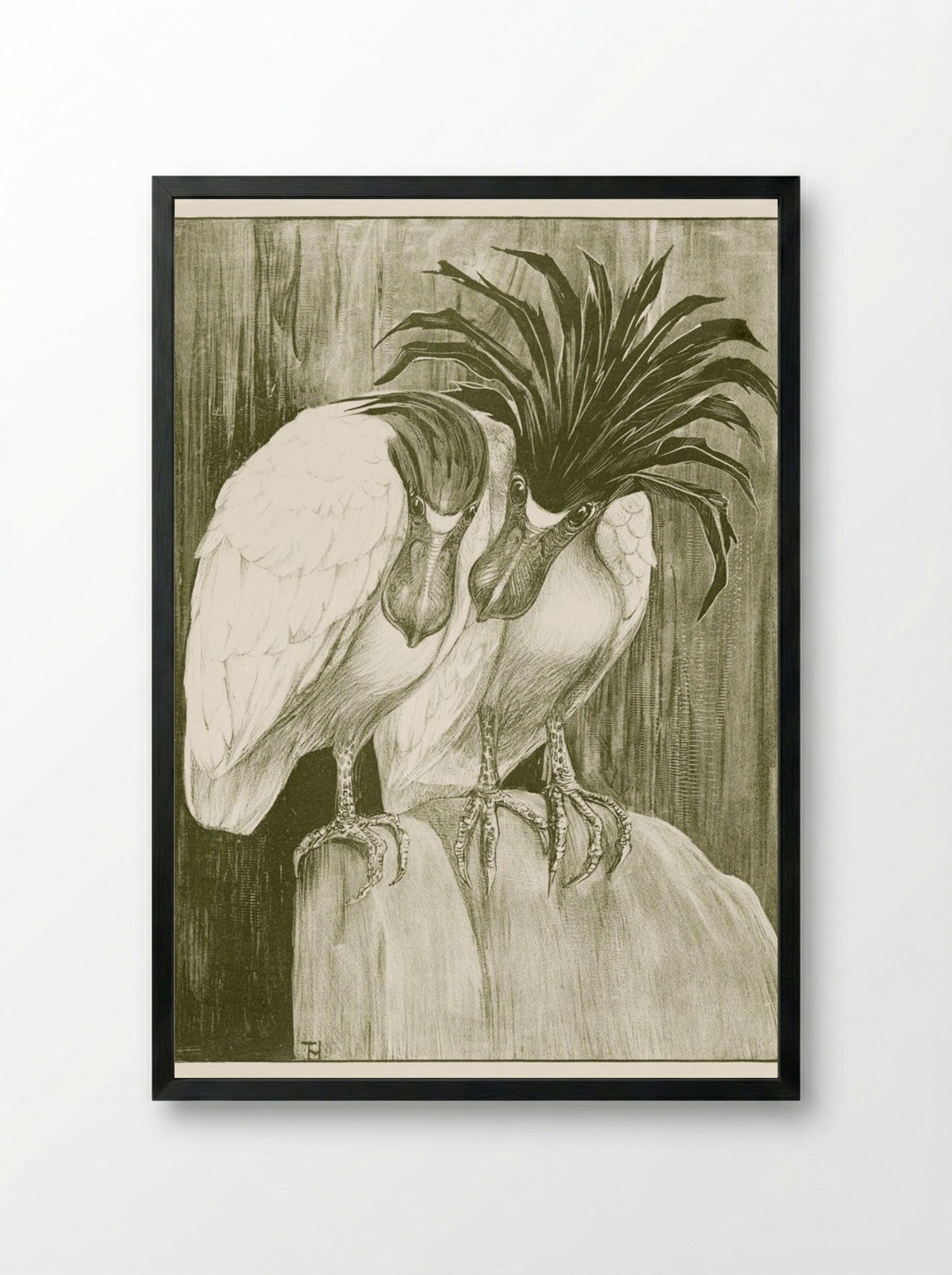Two Boat-billed Herons - Theo van Hoytema - Framed Print Black