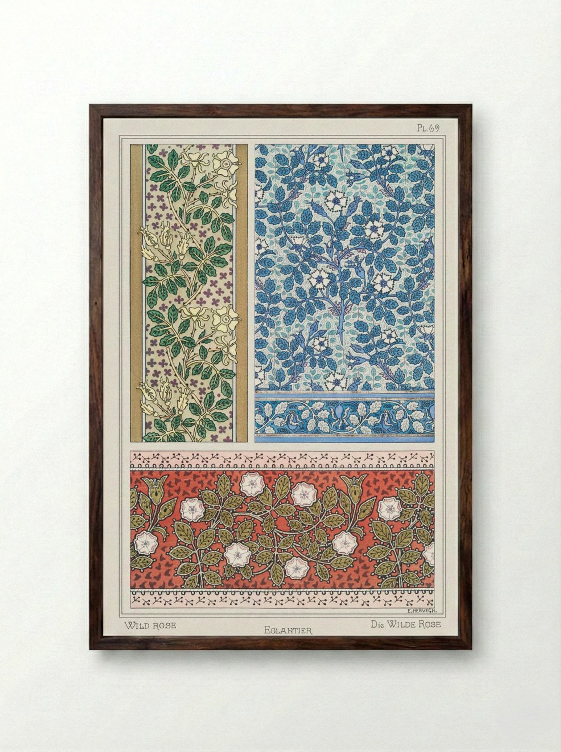 Eglantier (Wild Rose) from La Plante et ses Applications ornementales - Maurice Pillard Verneuil - Framed Print Dark Wood