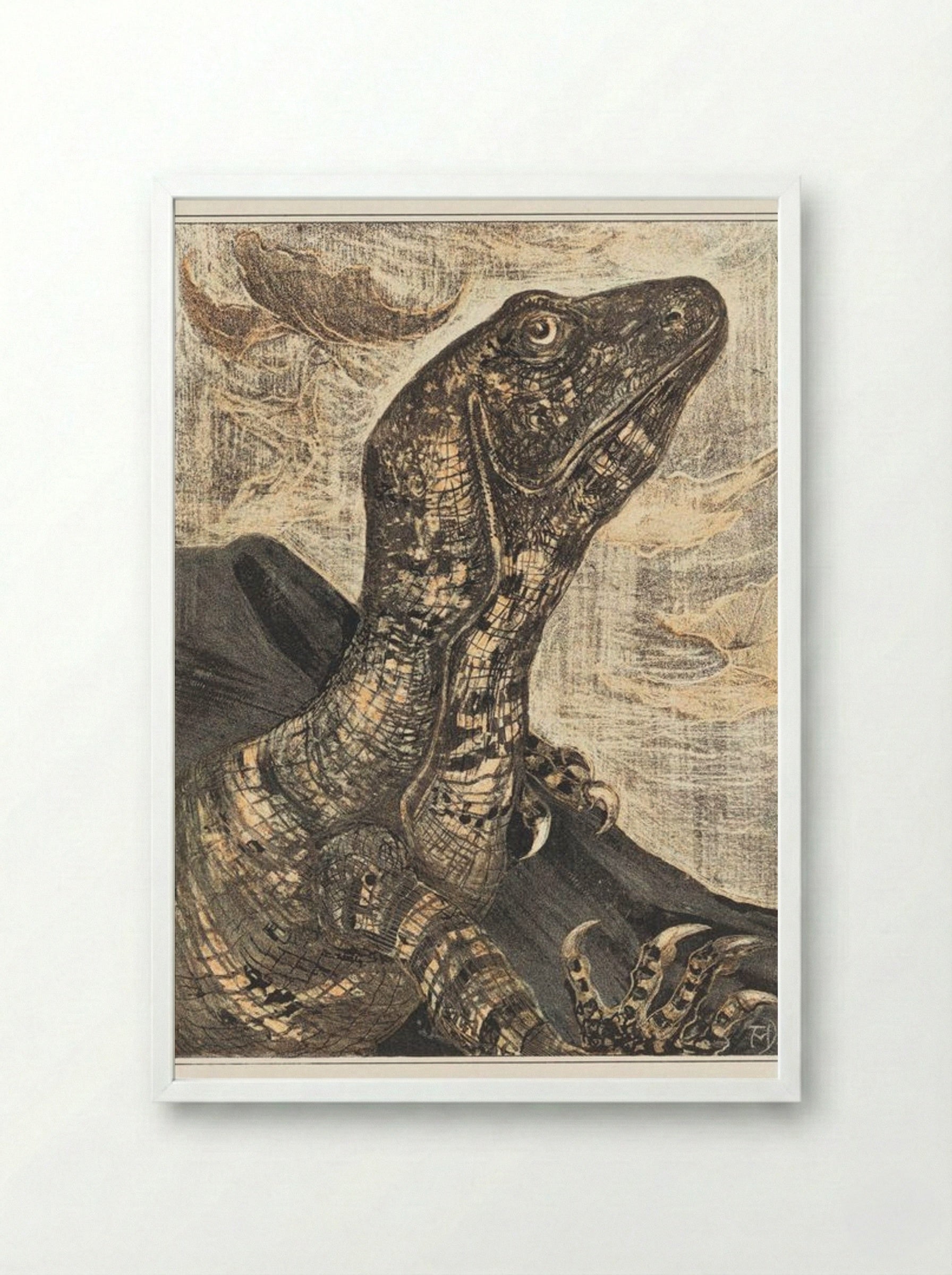 Leguaan (Monitor Lizard) - Theo van Hoytema - Framed Print White