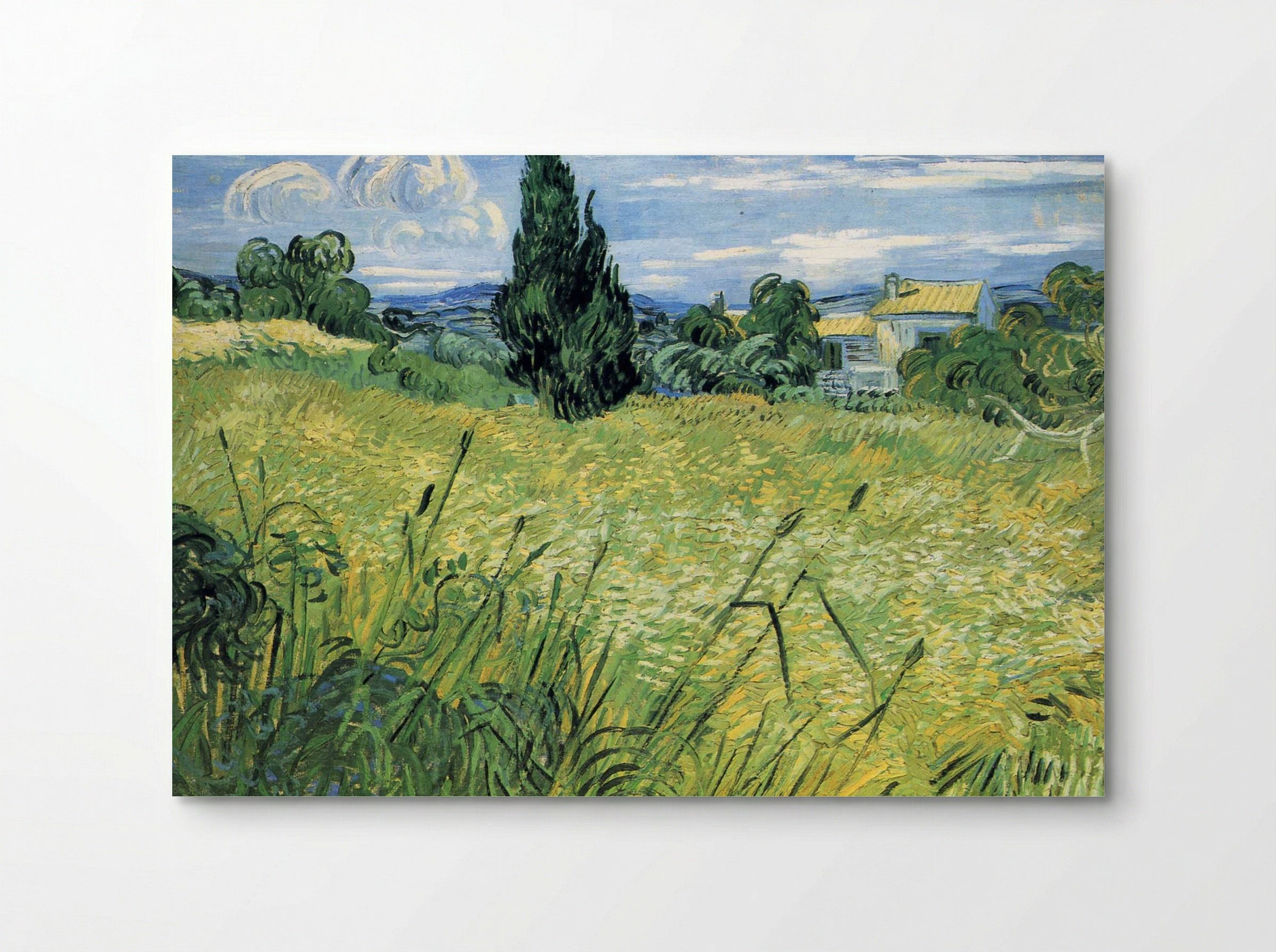 Green Wheat Field with Cypress - Vincent van Gogh - Poster