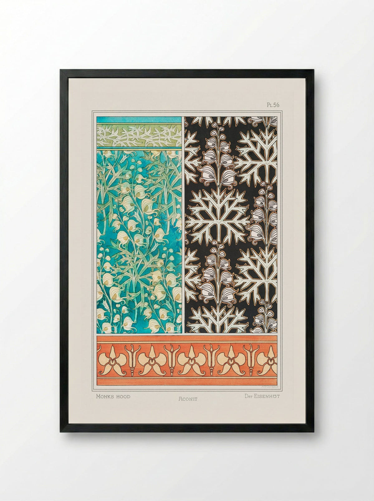 Aconite (Monkshood) from La Plante et ses Applications ornementales - Maurice Pillard Verneuil - Framed Print Black