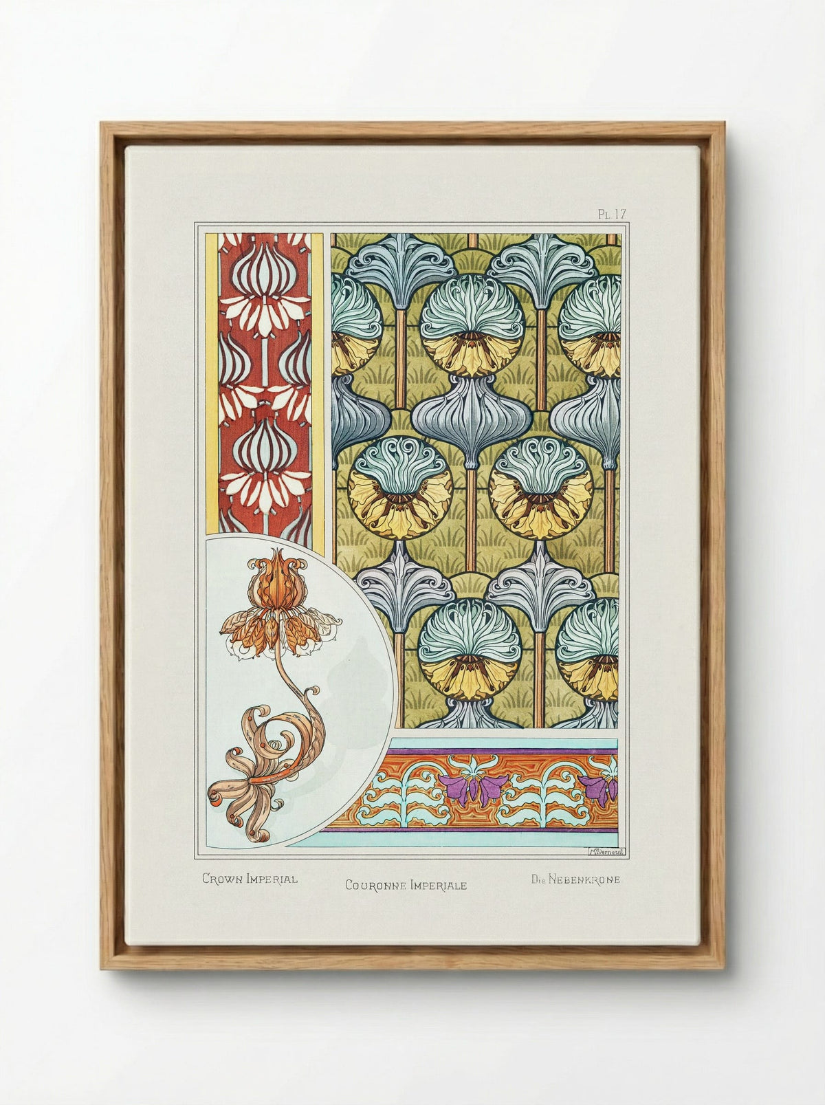 Couronne Impériale (Crown Imperial) from La Plante et ses Applications ornementales - Maurice Pillard Verneuil - Framed Canvas Wood