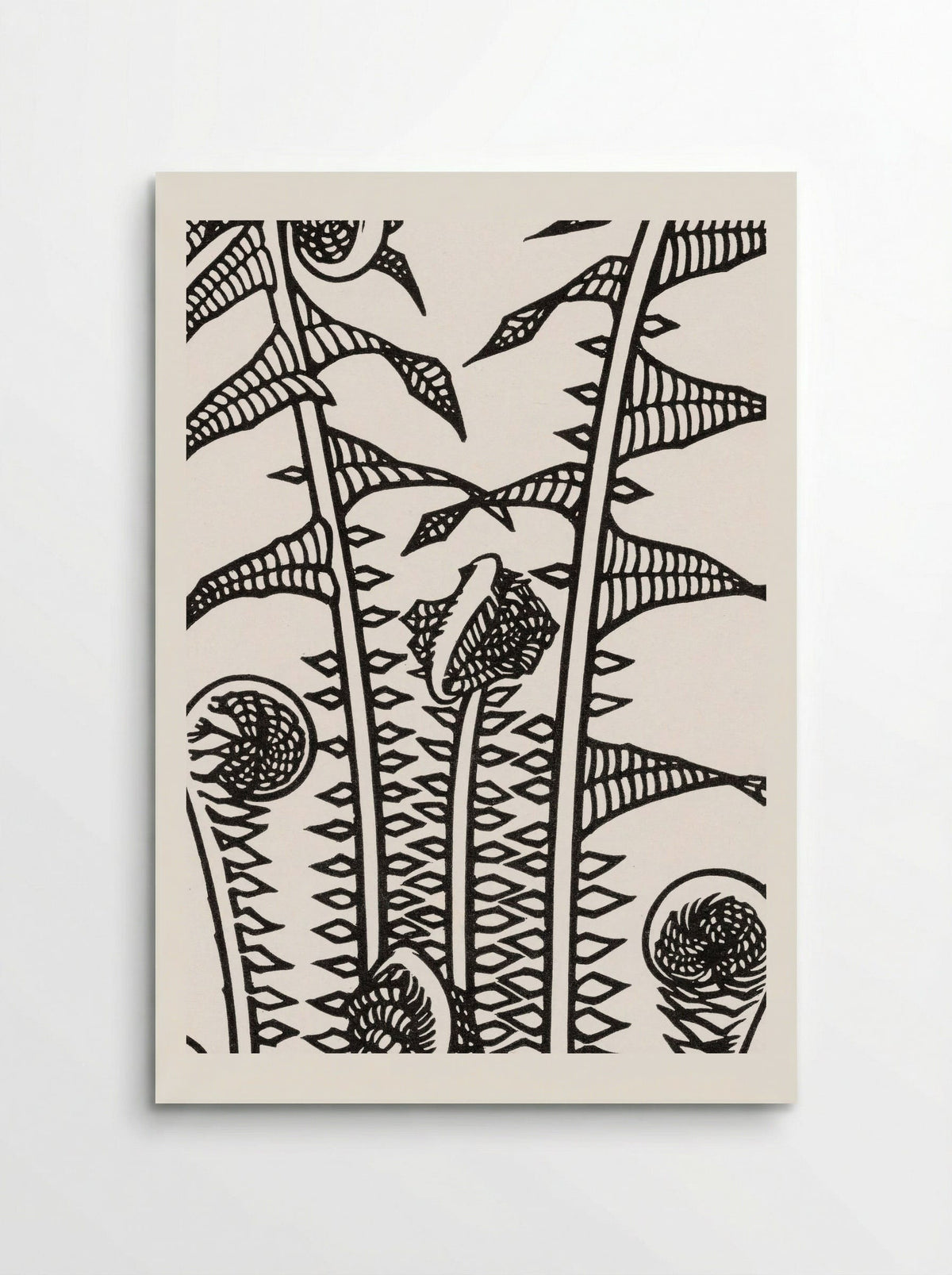 Ferns - Julie de Graag - Poster