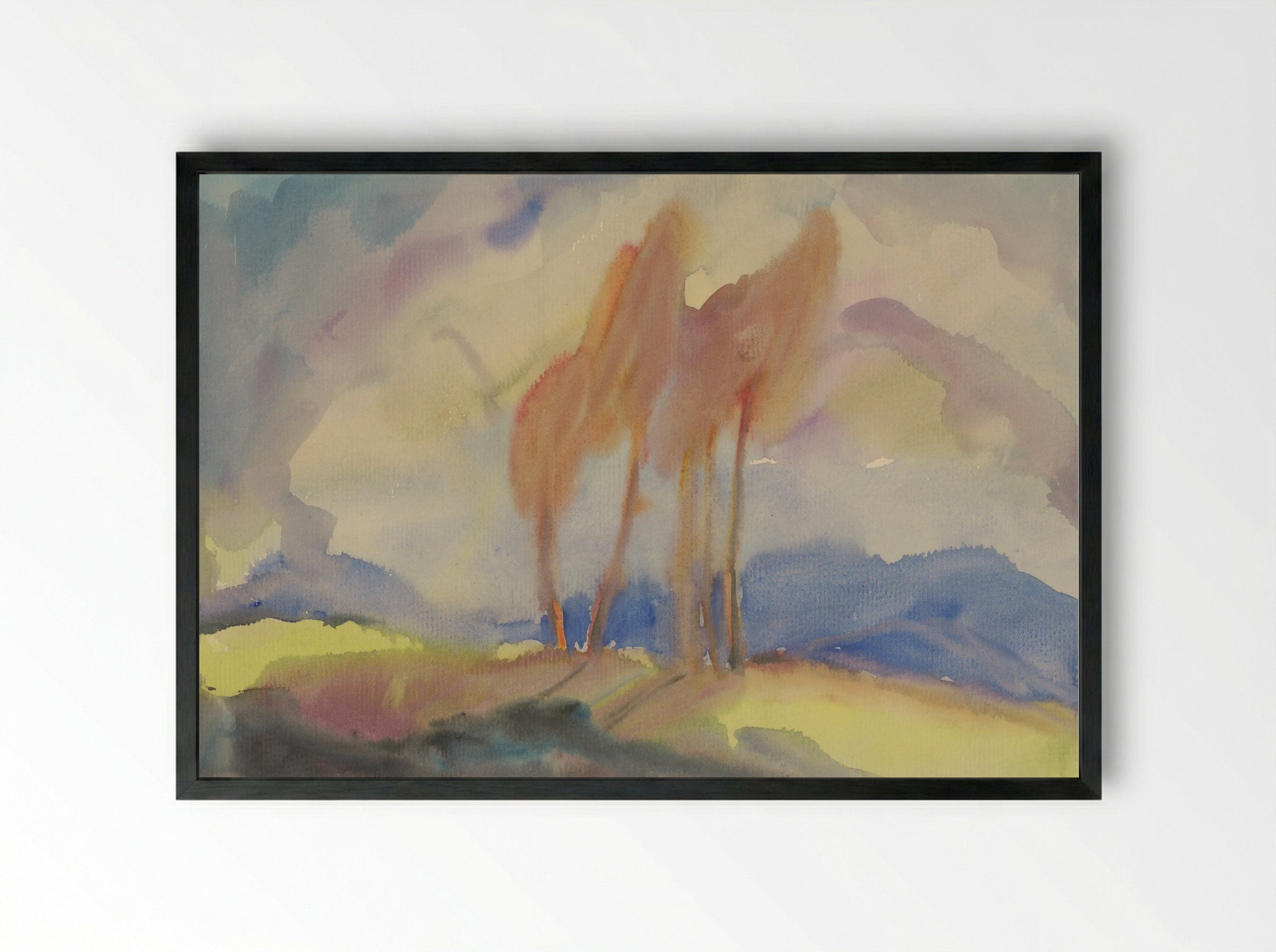 Autumn Birch Trees in a Sunlit Meadow - Zolo Palugyay - Framed Print Black
