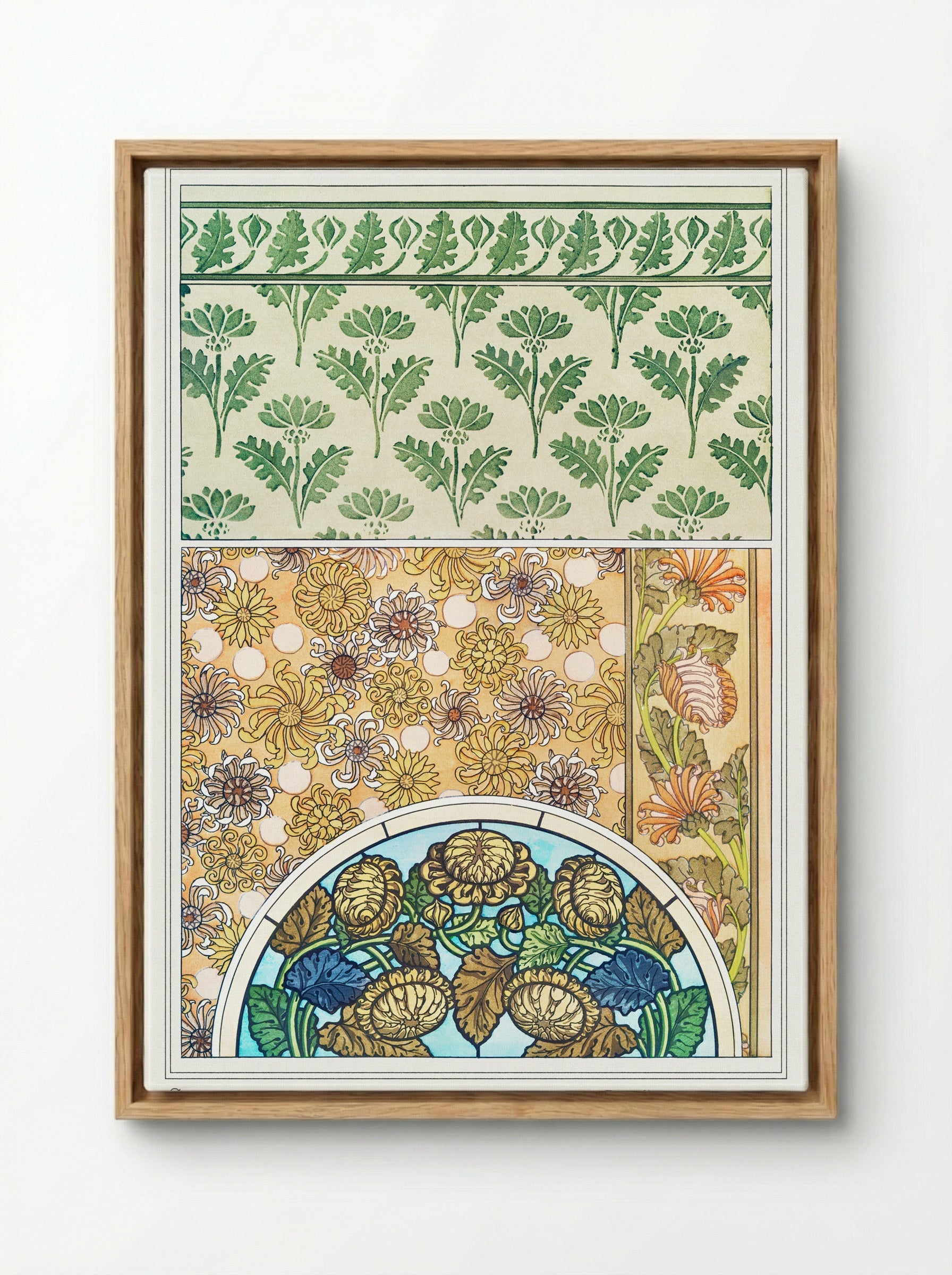 Chrysanthème (Chrysanthemum) from La Plante et ses Applications ornementales - Maurice Pillard Verneuil - Framed Canvas Wood