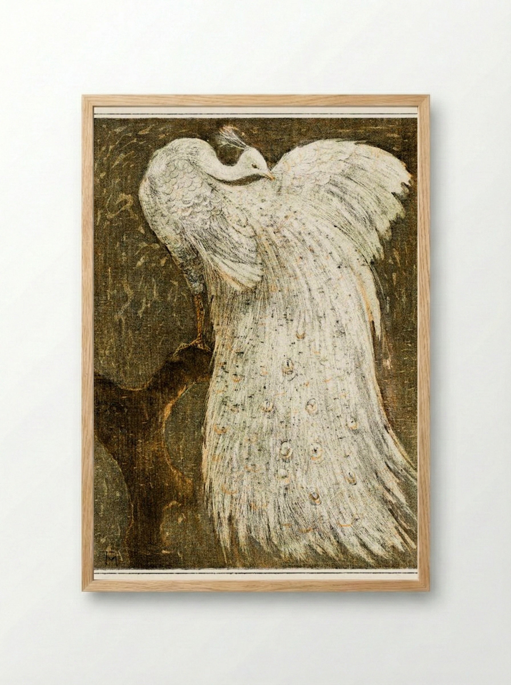 White Peacock on a Branch - Theo van Hoytema - Framed Print Wood