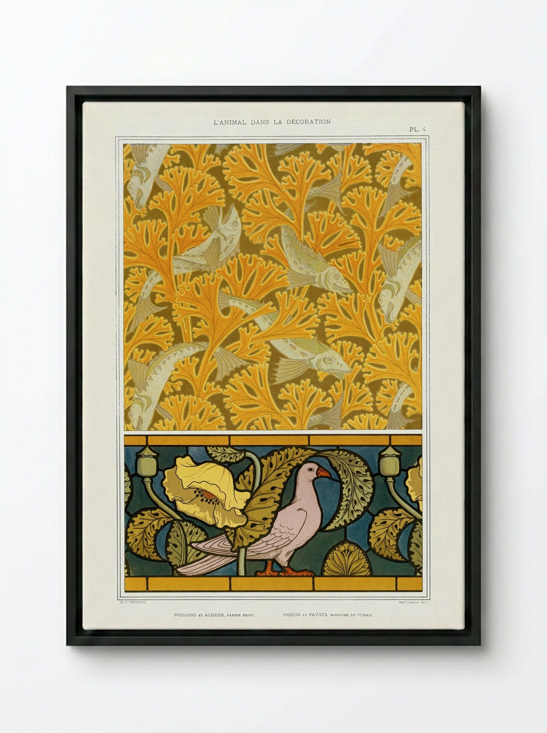 Poisson et Algues, Papier Peint / Pigeon et Pavots, Bordure de Vitrail - Maurice Pillard Verneuil - Framed Canvas Black