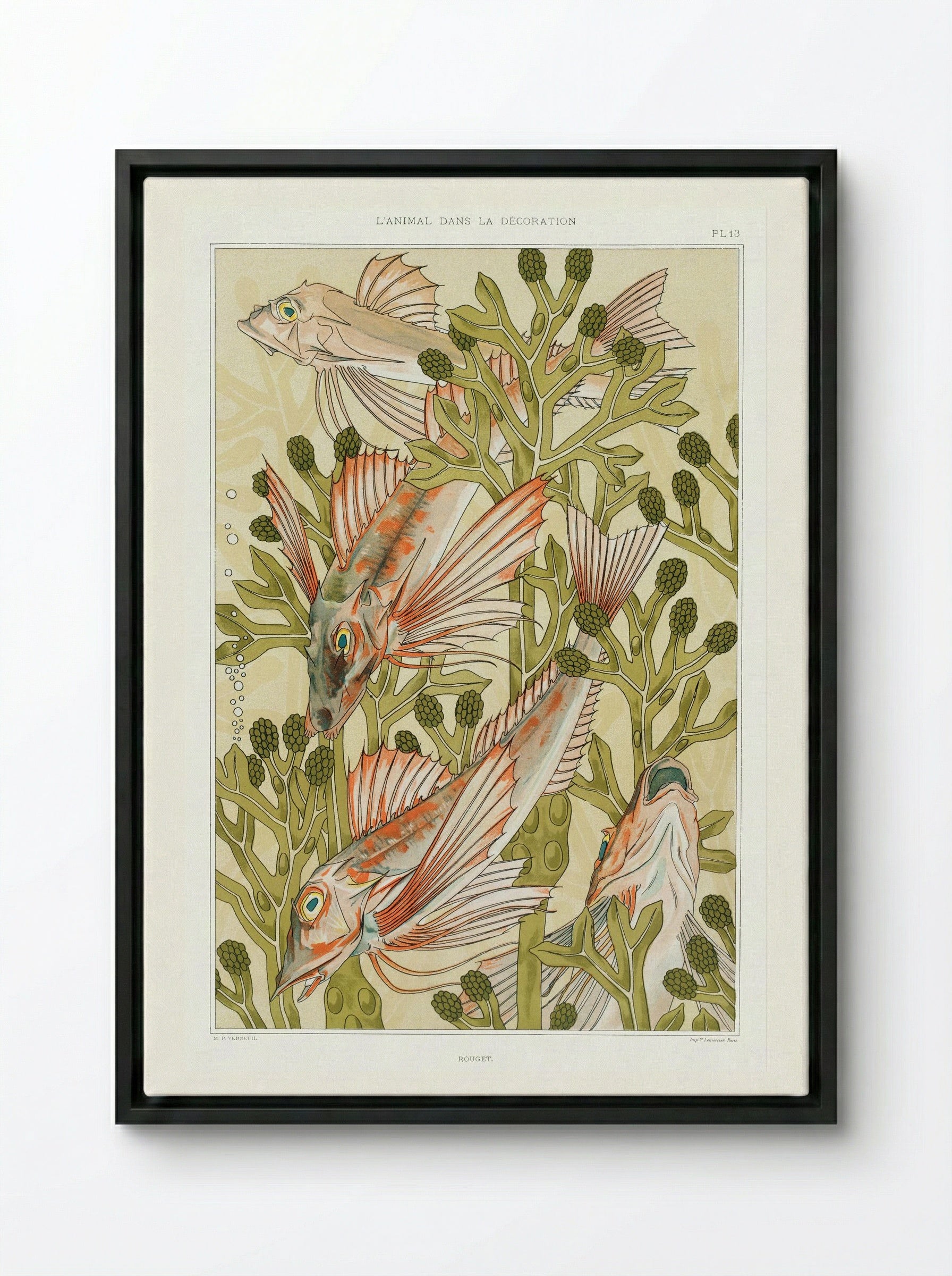 Rouget (From L'animal dans la décoration) - Maurice Pillard Verneuil - Framed Canvas Black