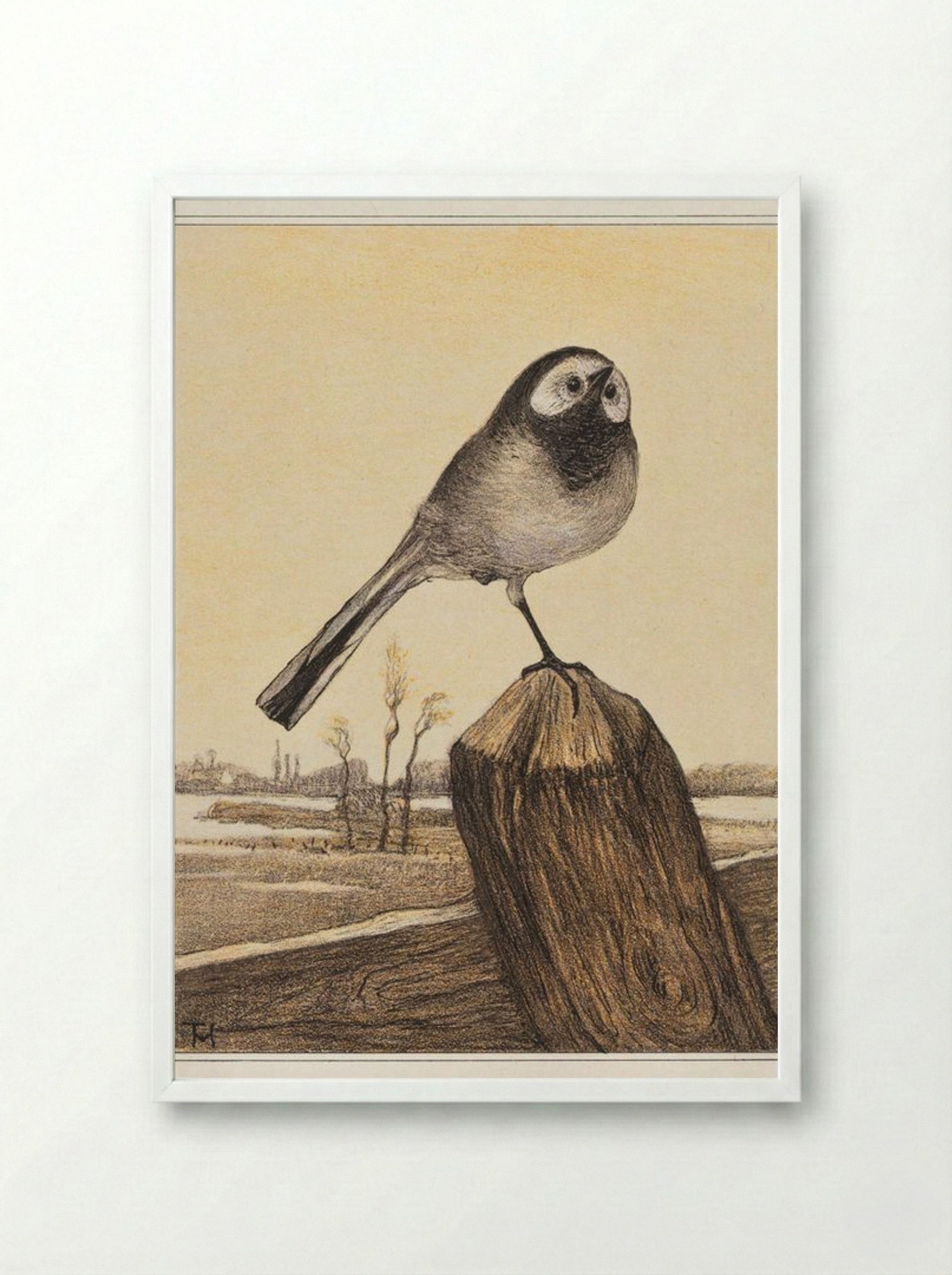 Kwikstaart op paal (Wagtail on a Post) - Theo van Hoytema - Framed Print White