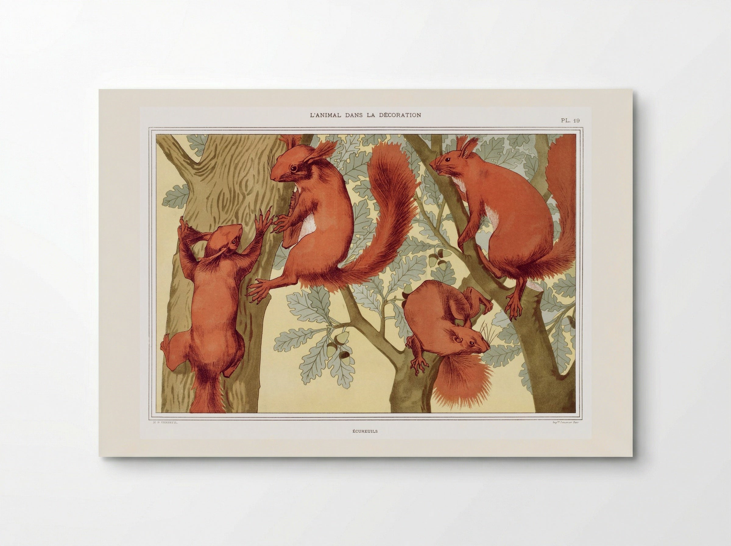 Écureuils (Squirrels) from L'animal dans la décoration - Maurice Pillard Verneuil - Poster
