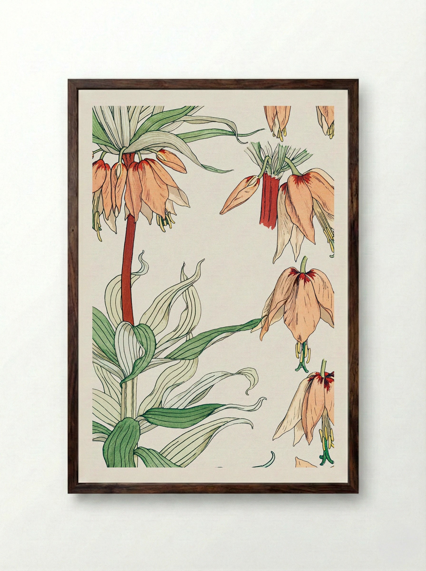 Couronne Impériale (Crown Imperial) - Maurice Pillard Verneuil - Framed Print Dark Wood