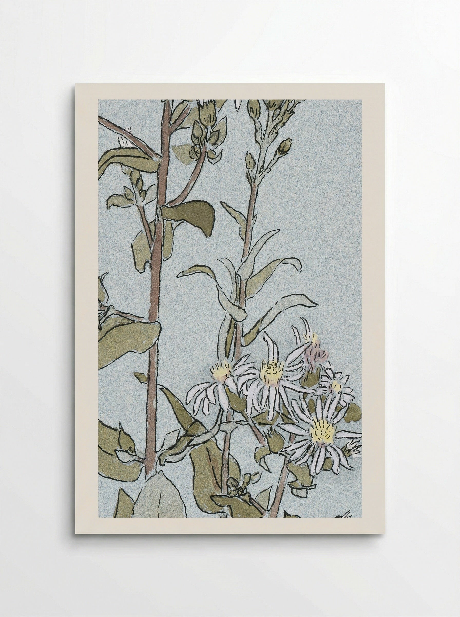 Aster (1915) - Hannah Borger Overbeck - Poster