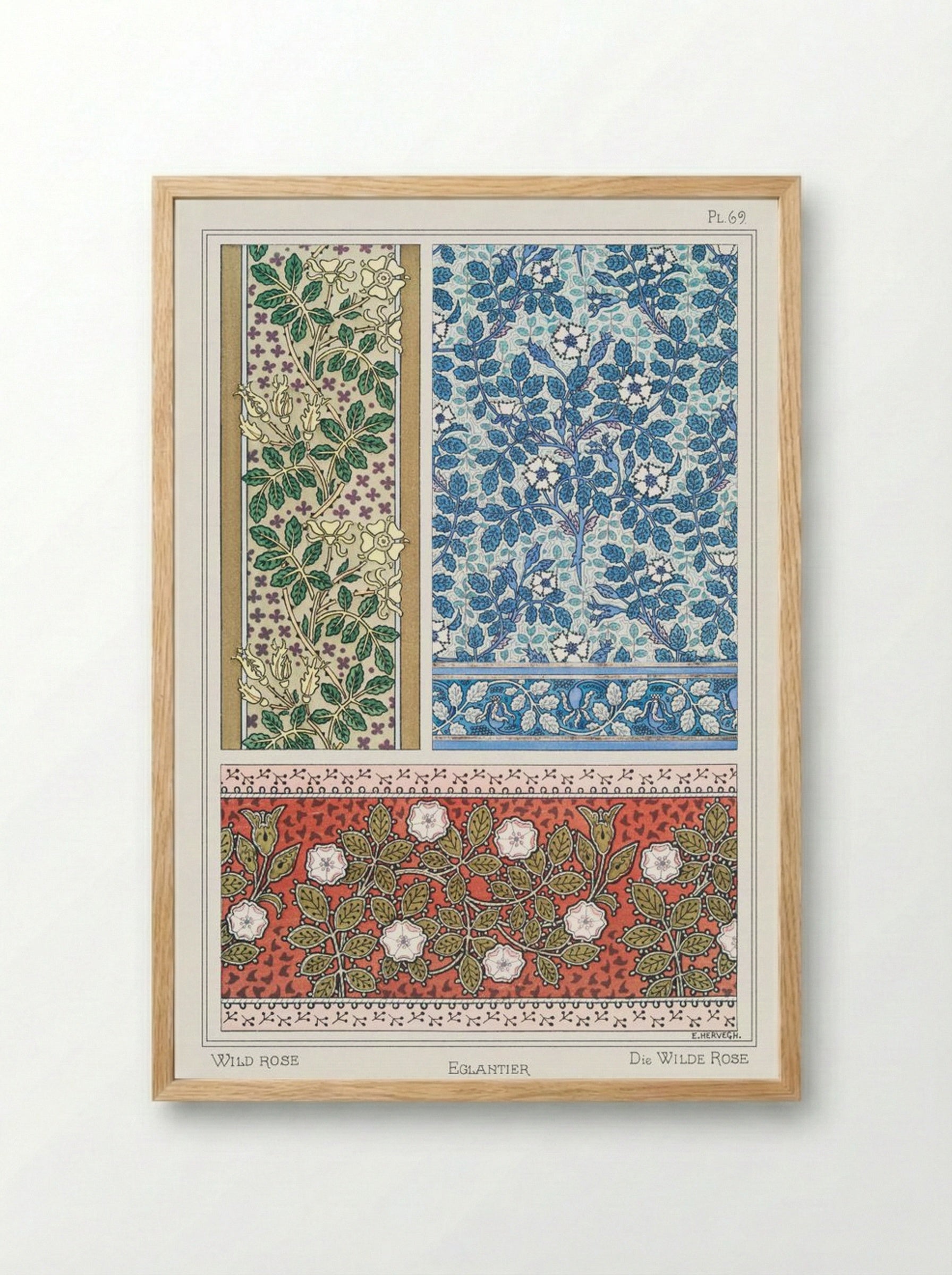 Eglantier (Wild Rose) from La Plante et ses Applications ornementales - Maurice Pillard Verneuil - Framed Print Wood