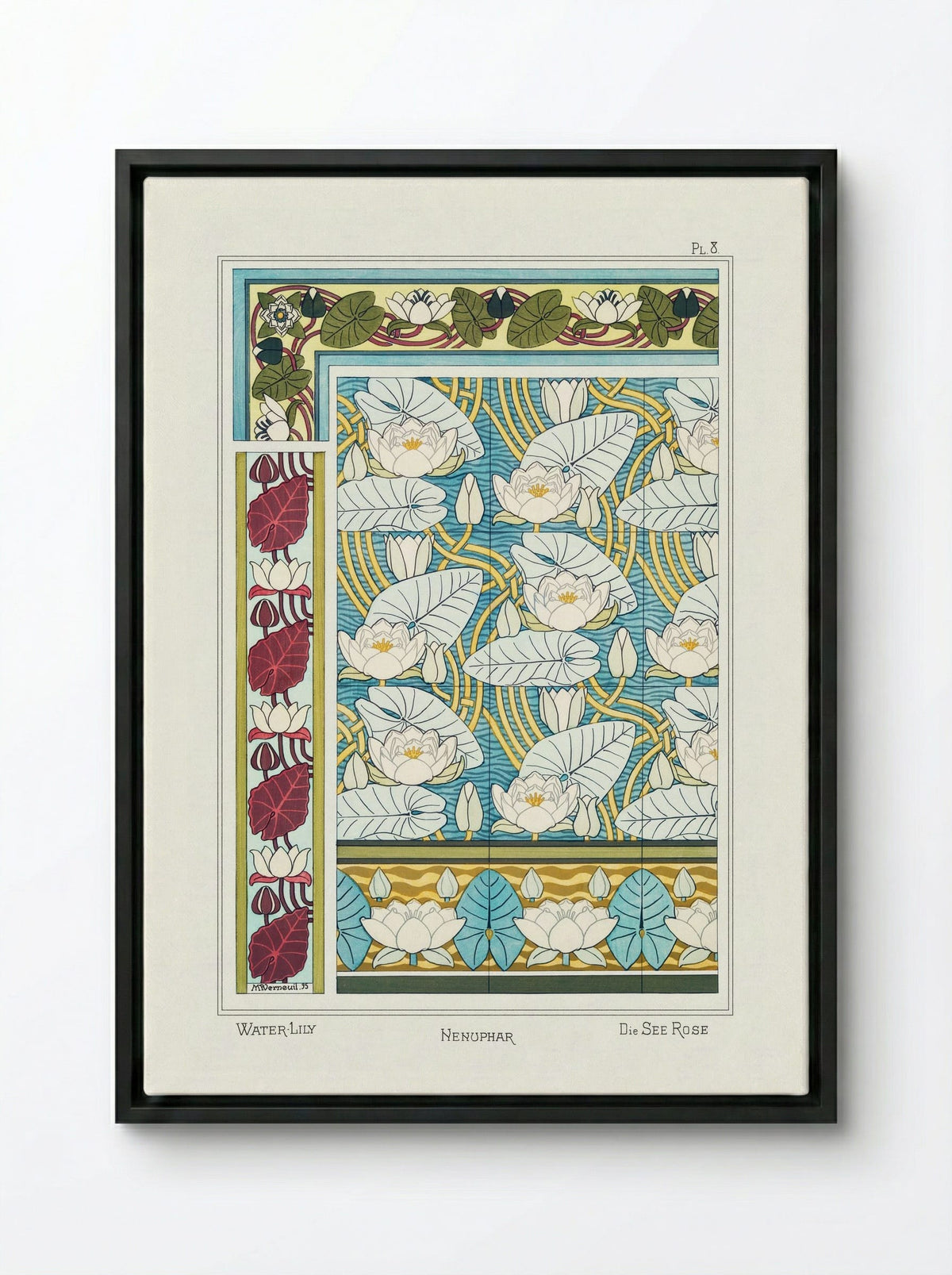 Nénuphar (Water Lilies) from La Plante et ses Applications ornementales - Maurice Pillard Verneuil - Framed Canvas Black