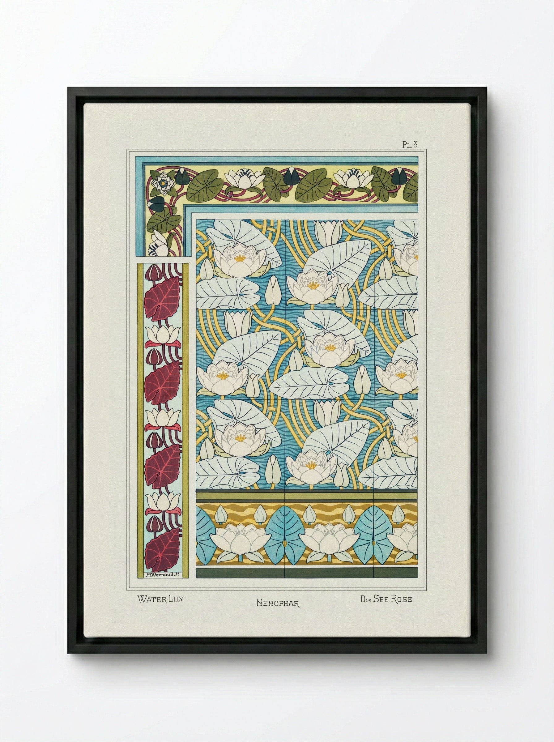 Nénuphar (Water Lilies) from La Plante et ses Applications ornementales - Maurice Pillard Verneuil - Framed Canvas Black