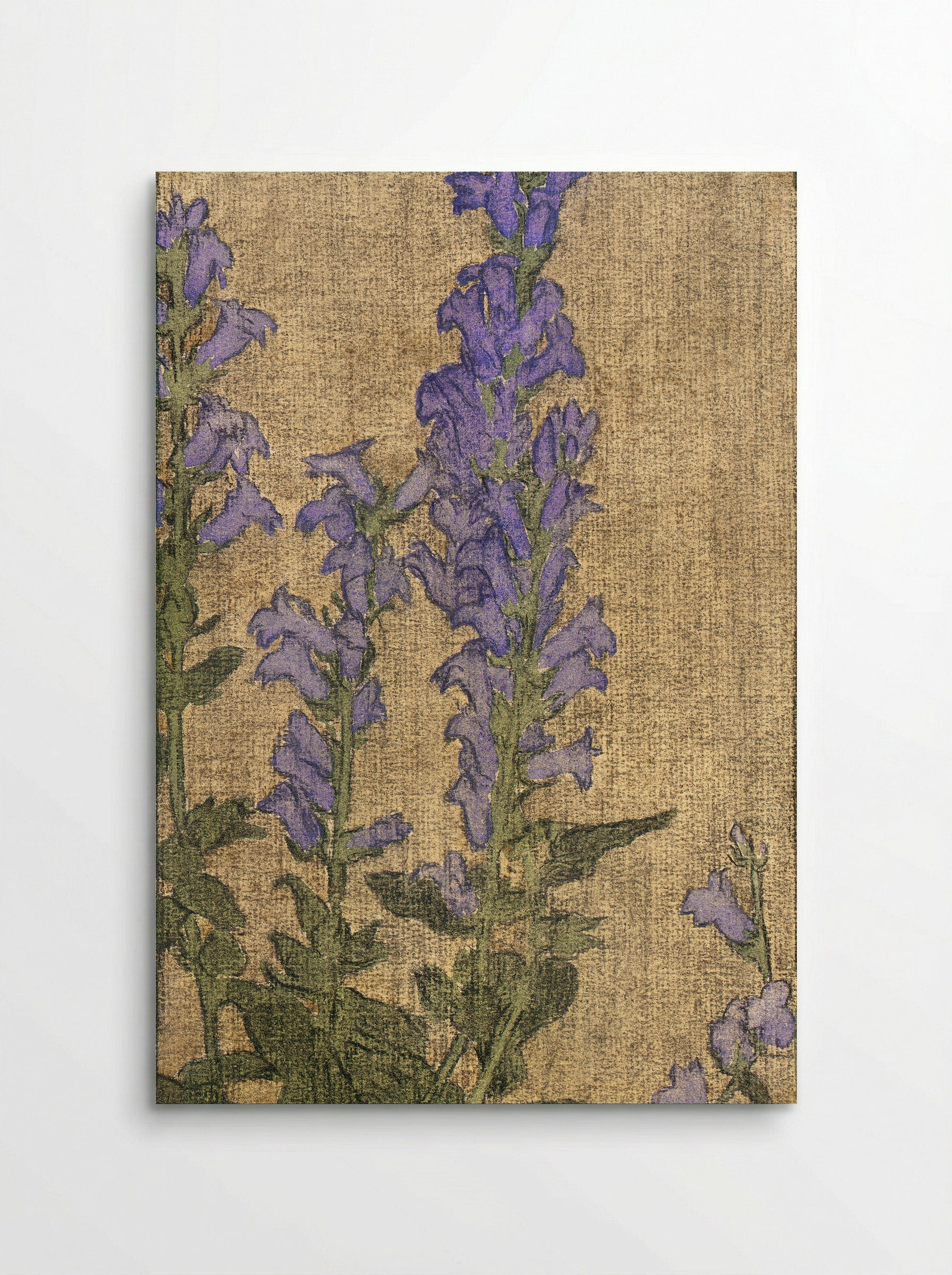 Delphinium (1915) - Hannah Borger Overbeck - Poster