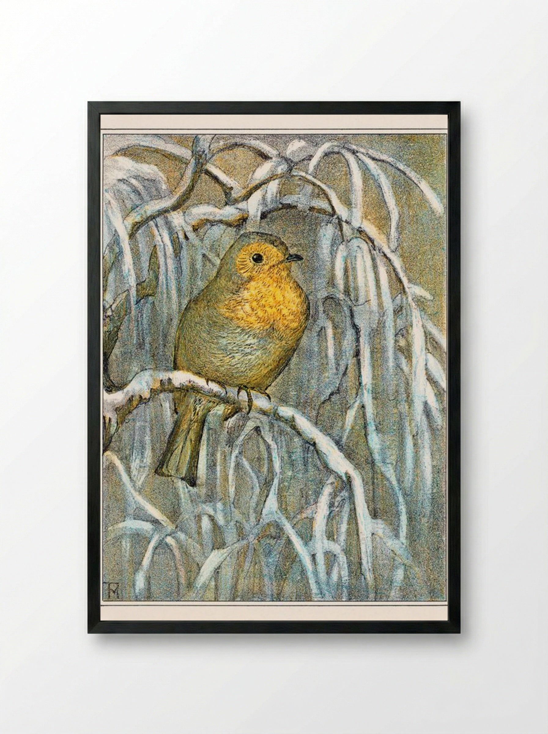 Robin on Snowy Branch - Theo van Hoytema - Framed Print Black