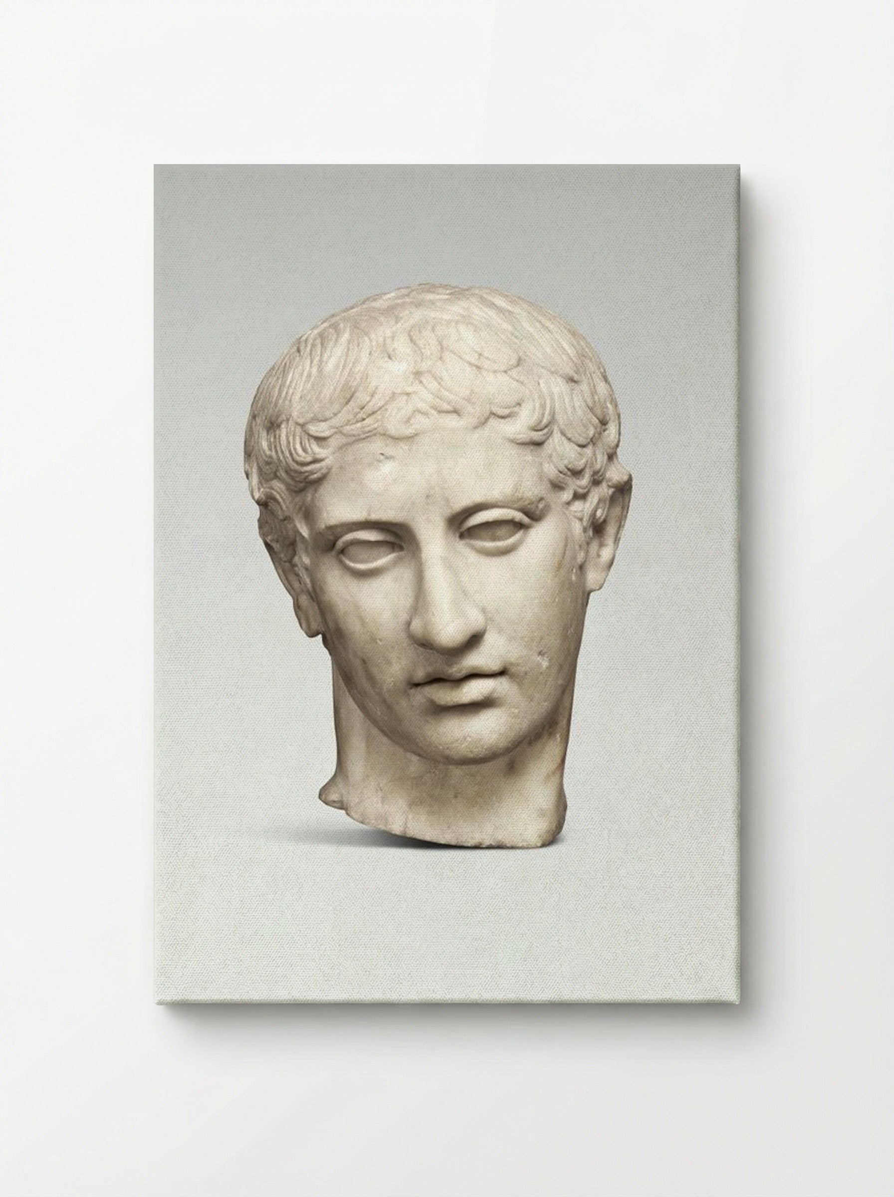 Marble Head of a Youth - Fine Art Print - Canvas