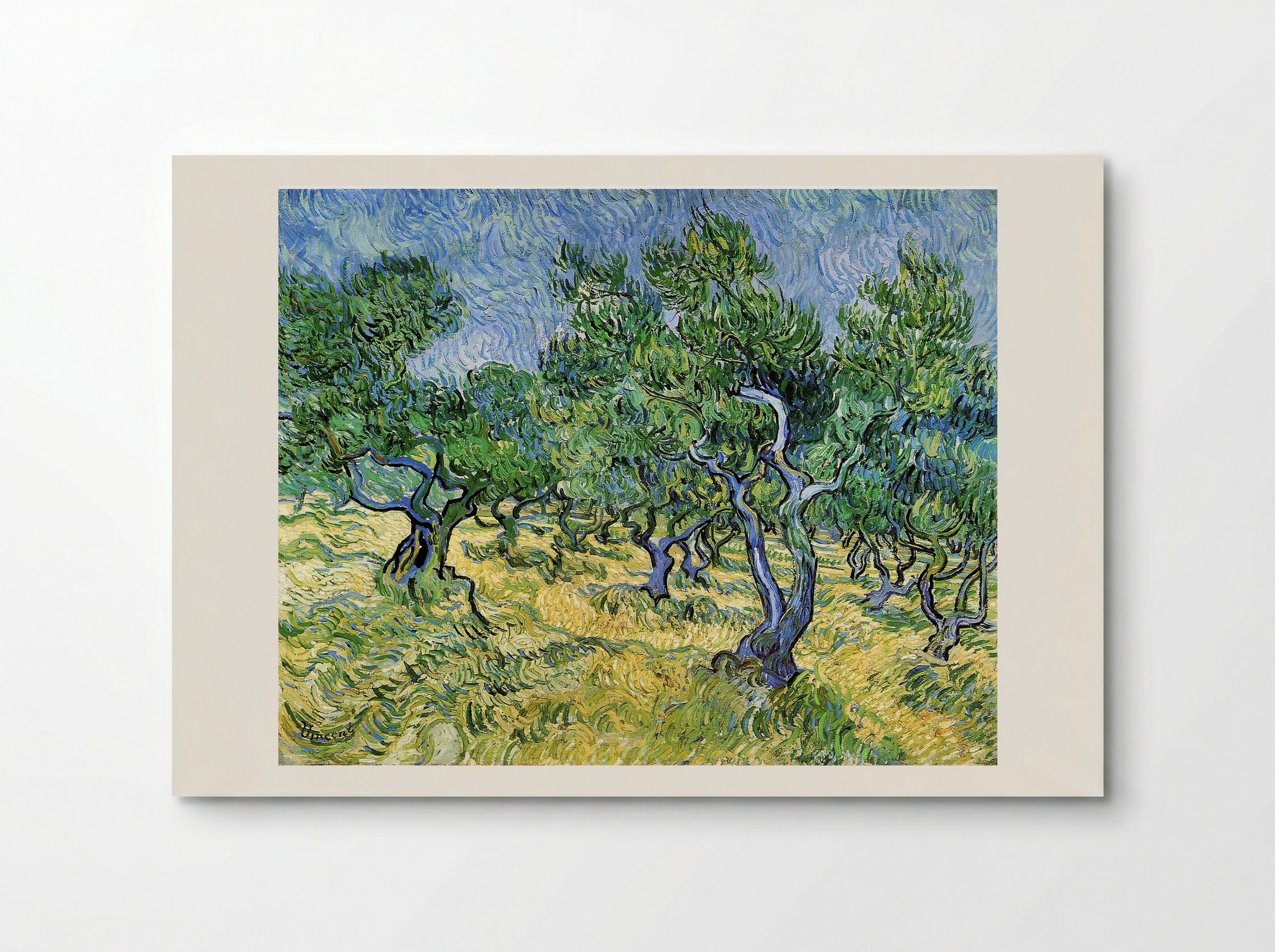Olive Grove - Vincent van Gogh - Poster