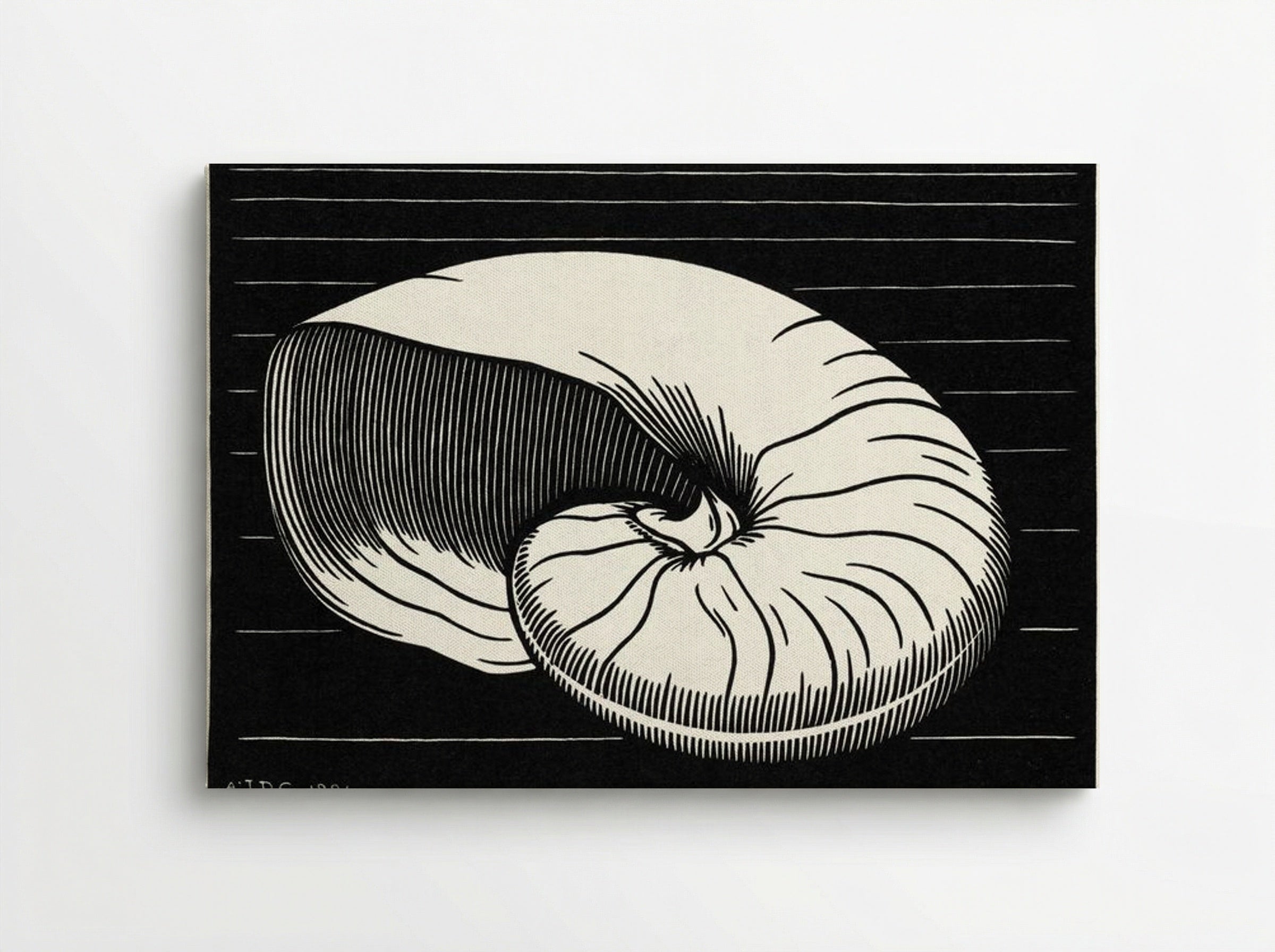 Shell - Julie de Graag - Canvas