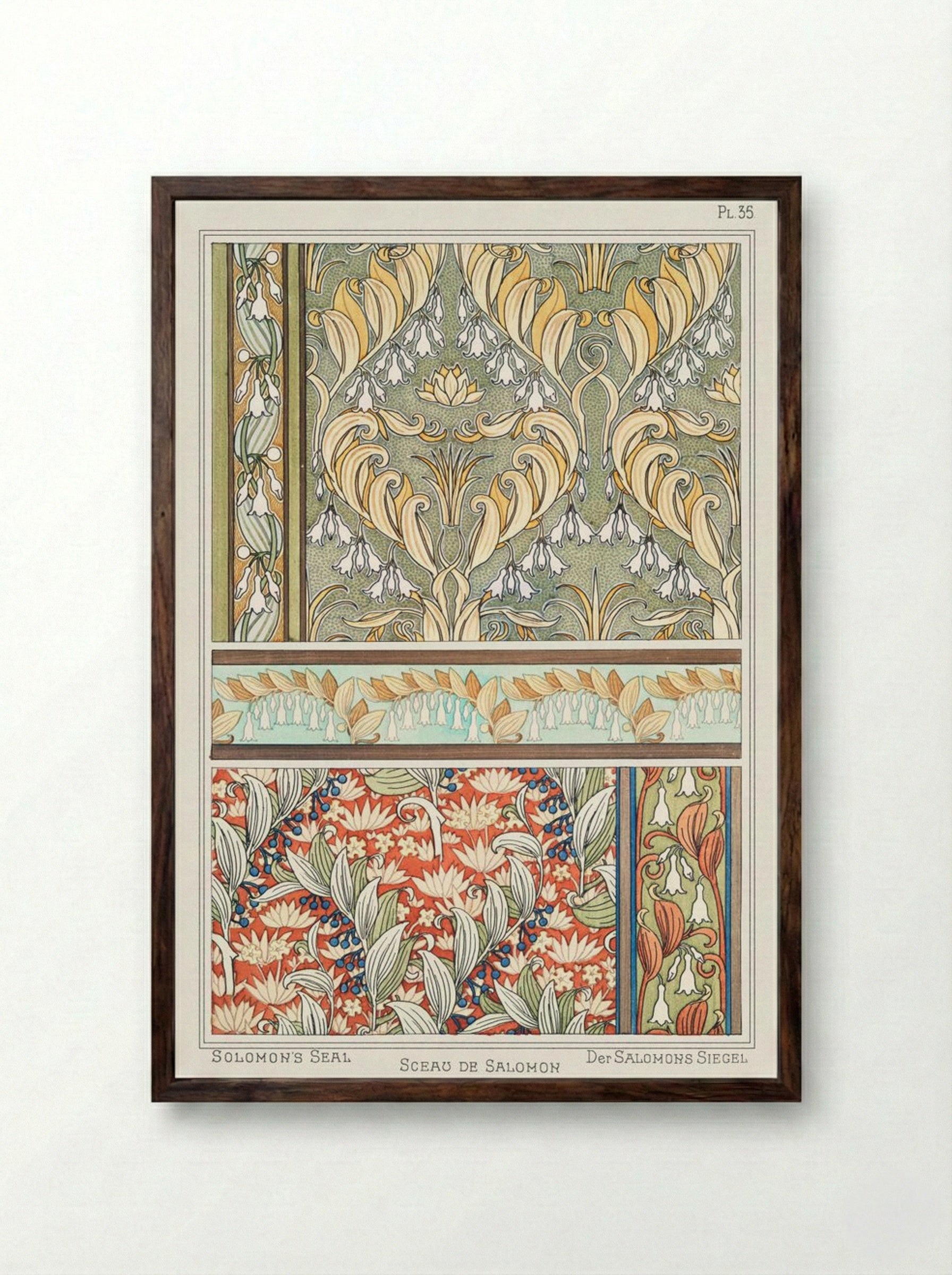 Sceau de Salomon (Solomon's Seal) from La Plante et ses Applications ornementales - Maurice Pillard Verneuil - Framed Print Dark Wood