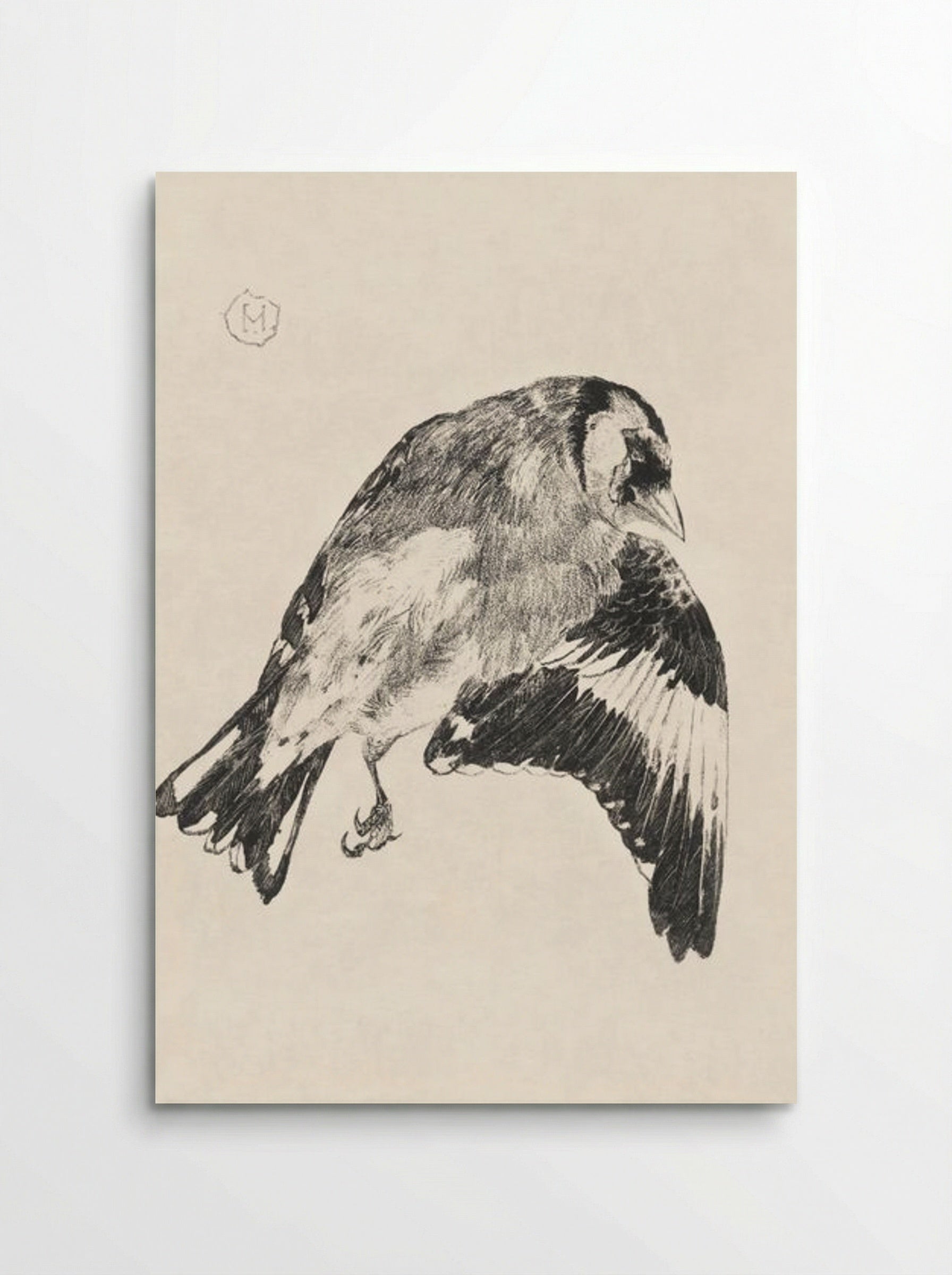 Goldfinch (Study of a Bird in Flight) - Theo van Hoytema - Poster