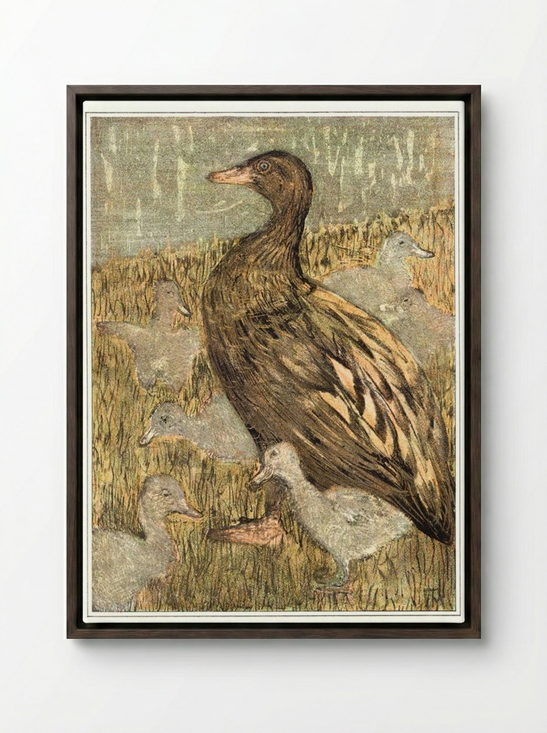 Duck with Ducklings by the Waterside - Theo van Hoytema - Framed Canvas Dark Wood