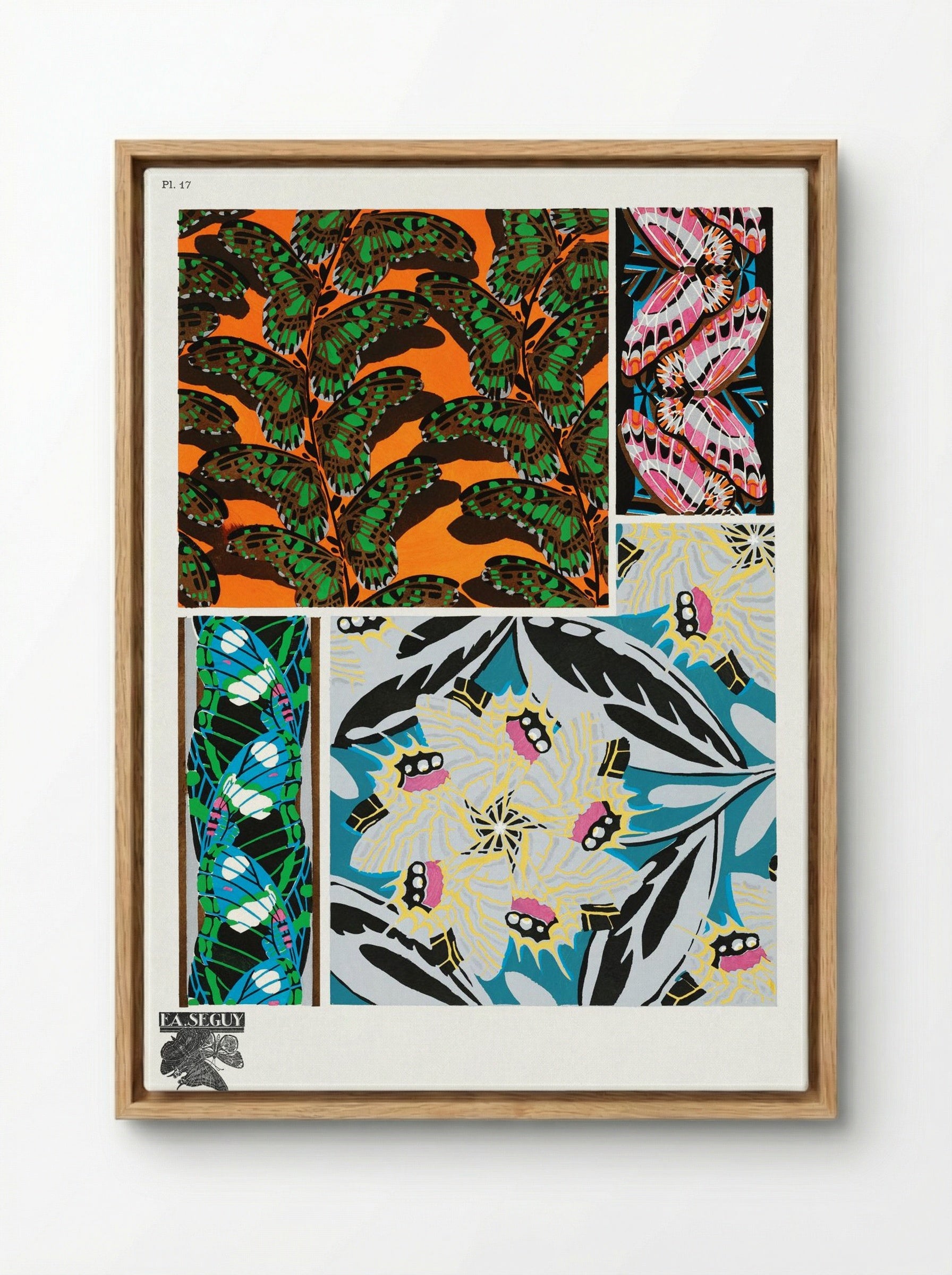 Butterflies Pattern Plate 17 - Émile-Allain Séguy - Framed Canvas Wood