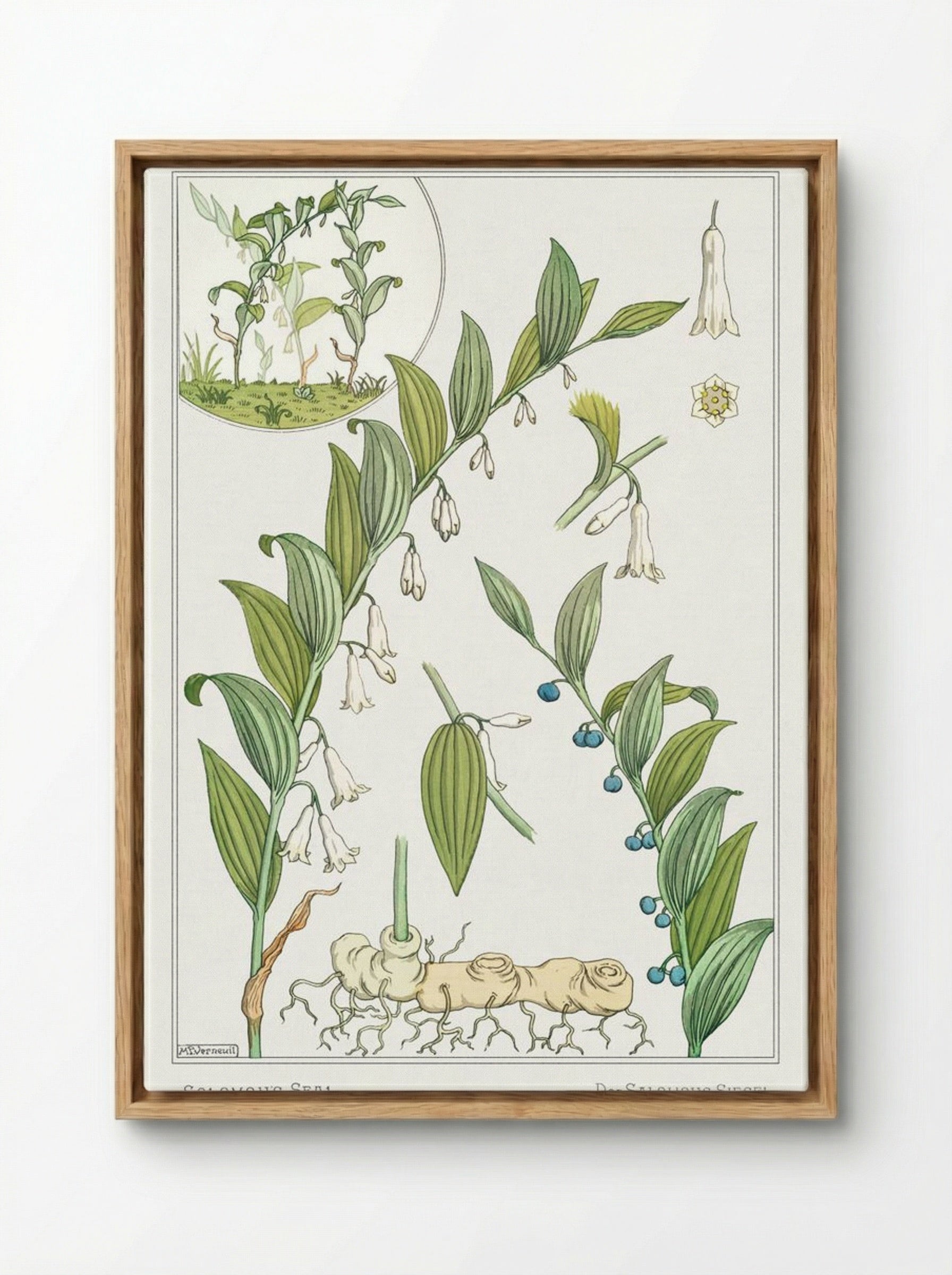 Sceau de Salomon (Solomon's Seal) - Maurice Pillard Verneuil - Framed Canvas Wood