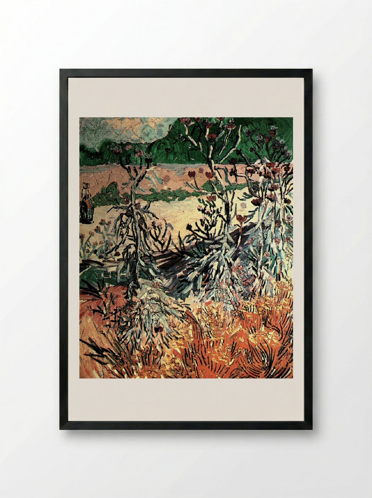 Thistles in a Field - Vincent van Gogh - Framed Print Black