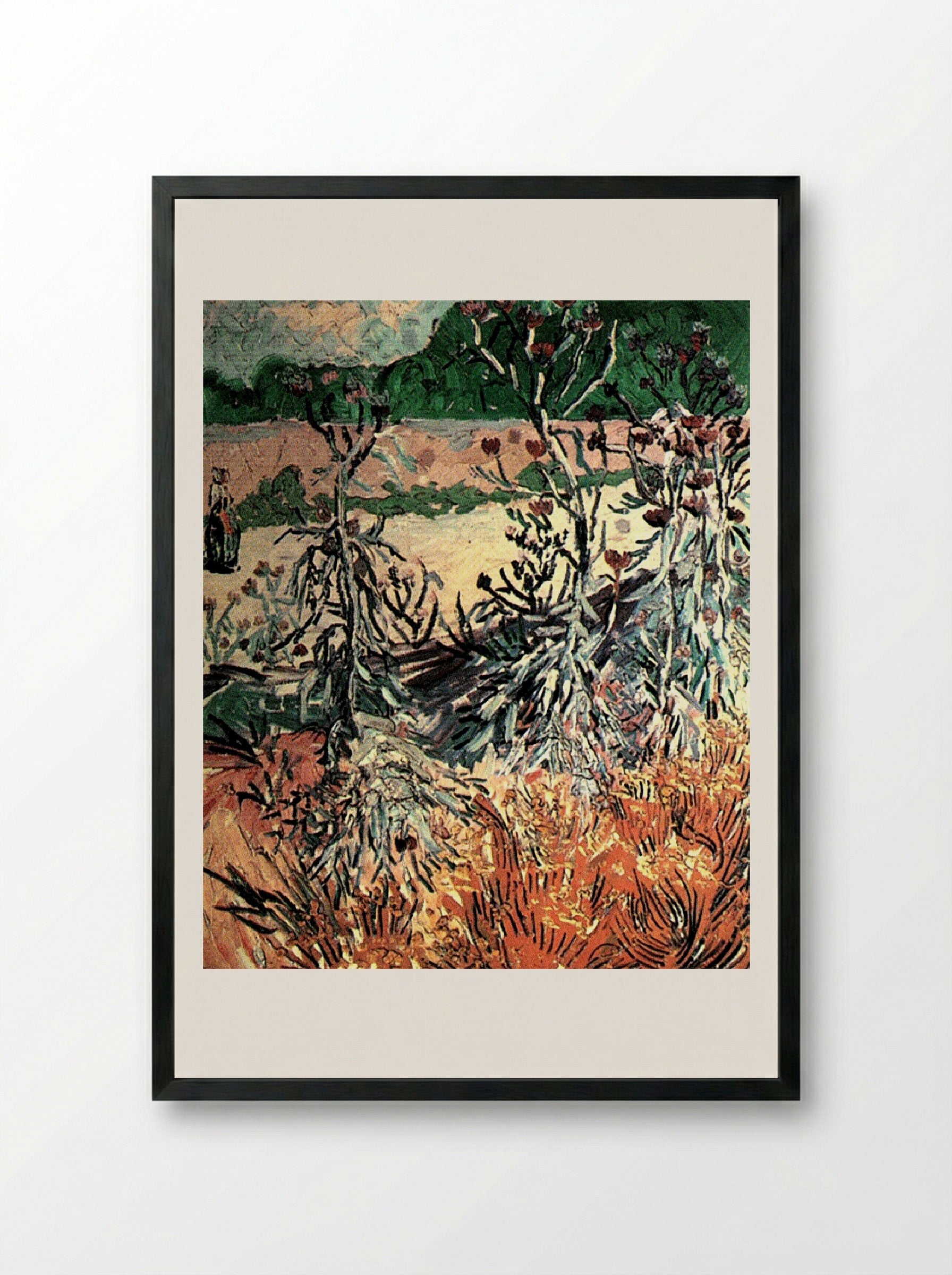 Thistles in a Field - Vincent van Gogh - Framed Print Black