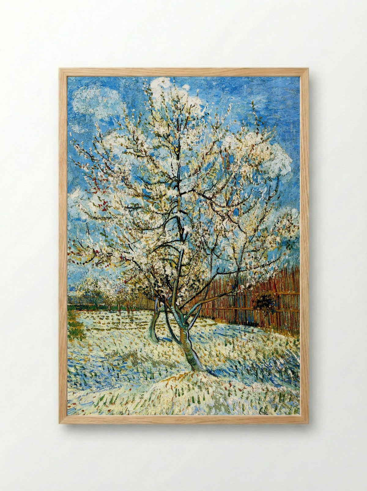 Peach Trees in Blossom - Vincent van Gogh - Framed Print Wood