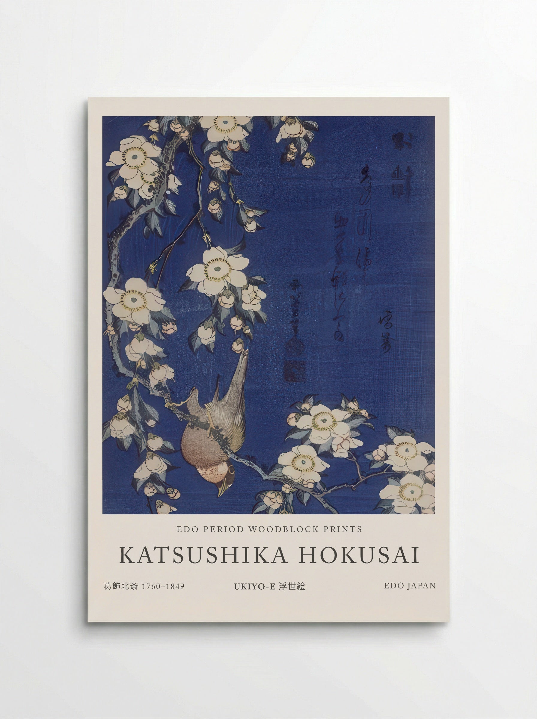 Bullfinch and Weeping Cherry Blossoms – Fine Art Print