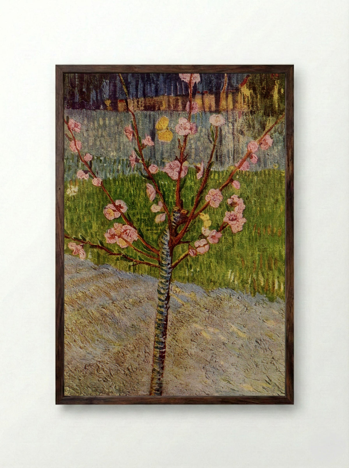 Almond Blossom - Vincent van Gogh - Framed Print Dark Wood