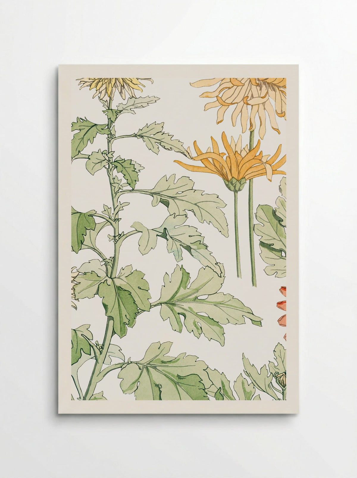 Chrysanthème (Chrysanthemum) - Maurice Pillard Verneuil - Poster