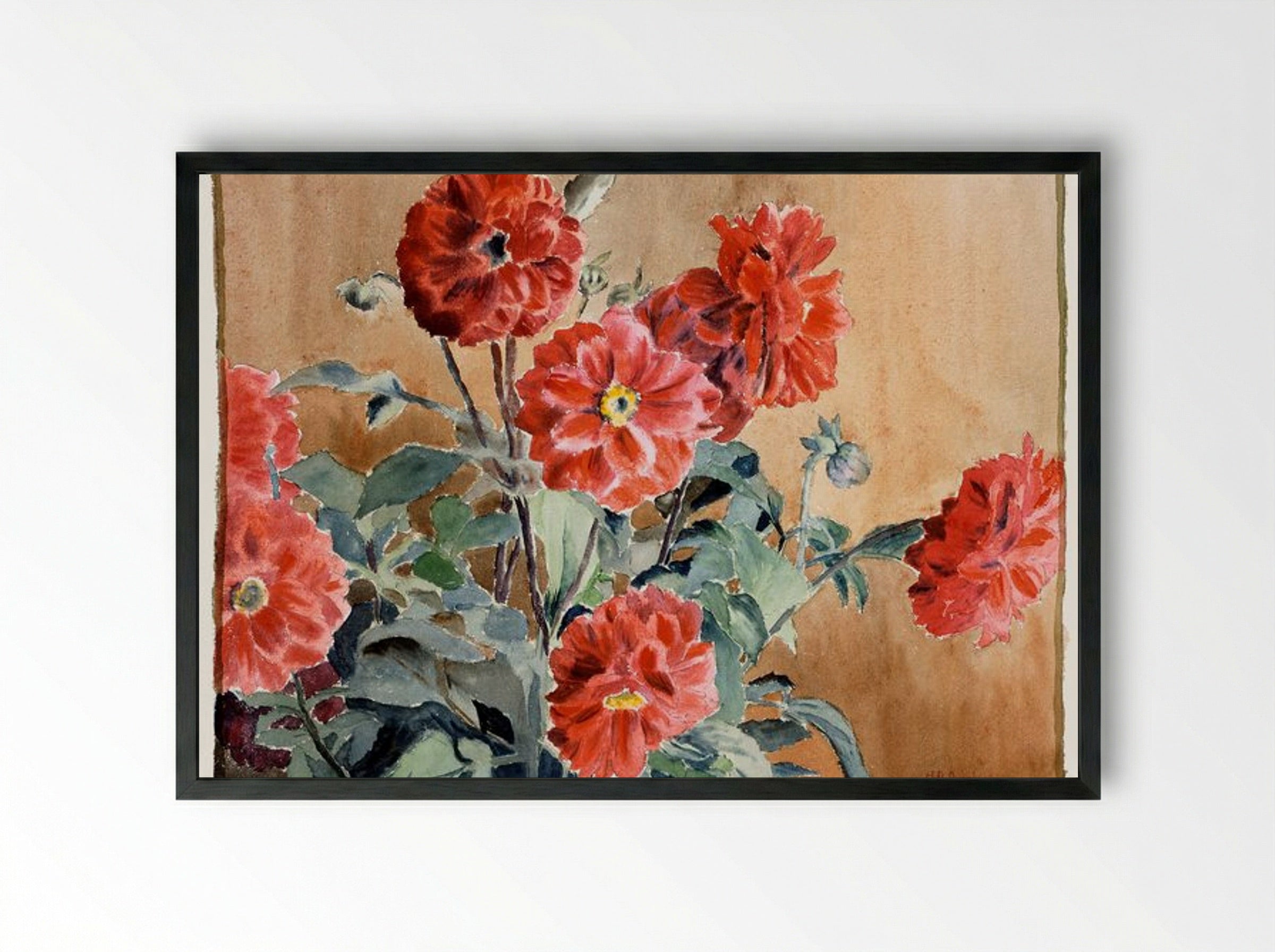 Dahlias - Hannah Borger Overbeck - Framed Print Black